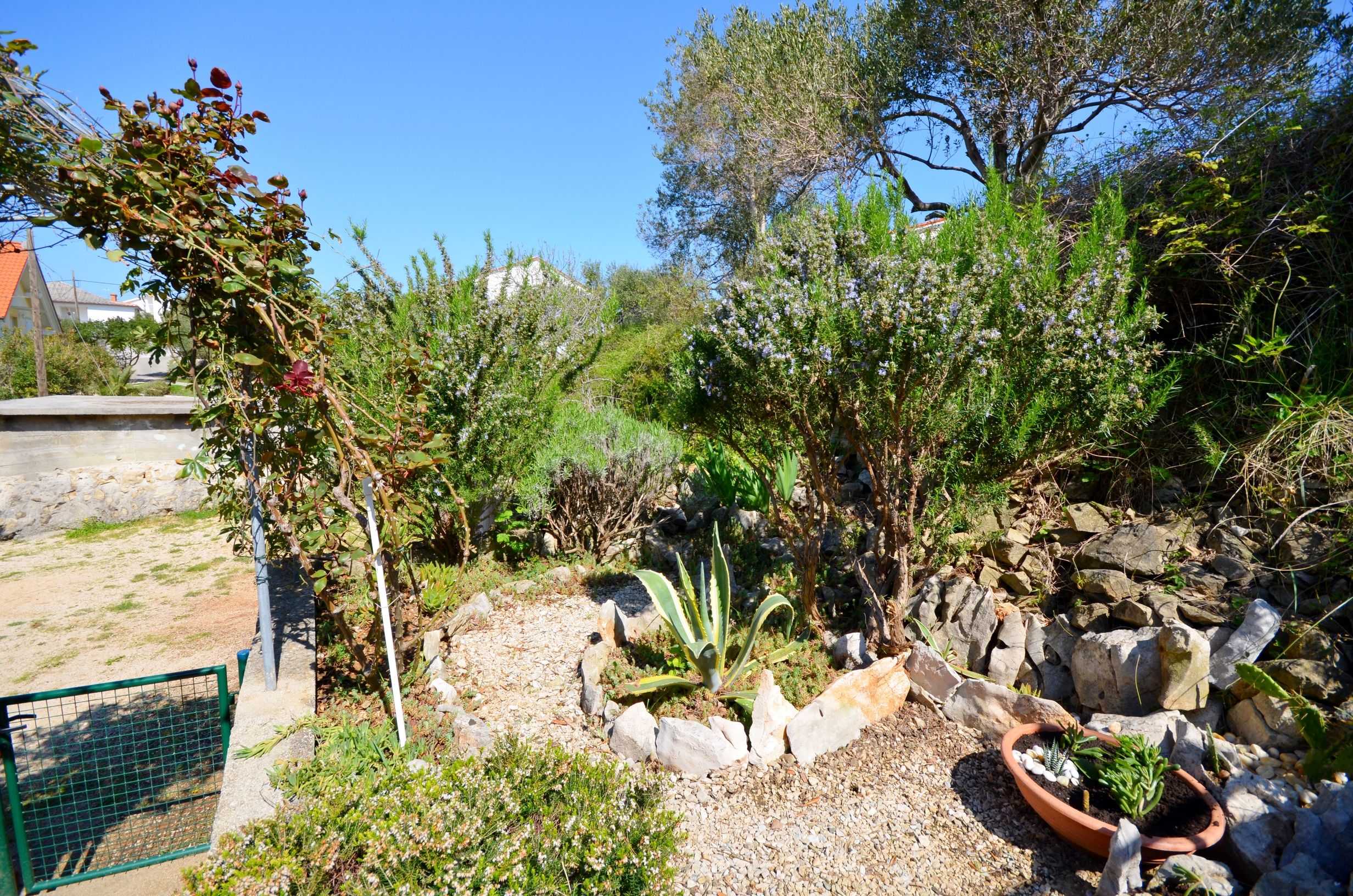 Photo of Apartments Ines