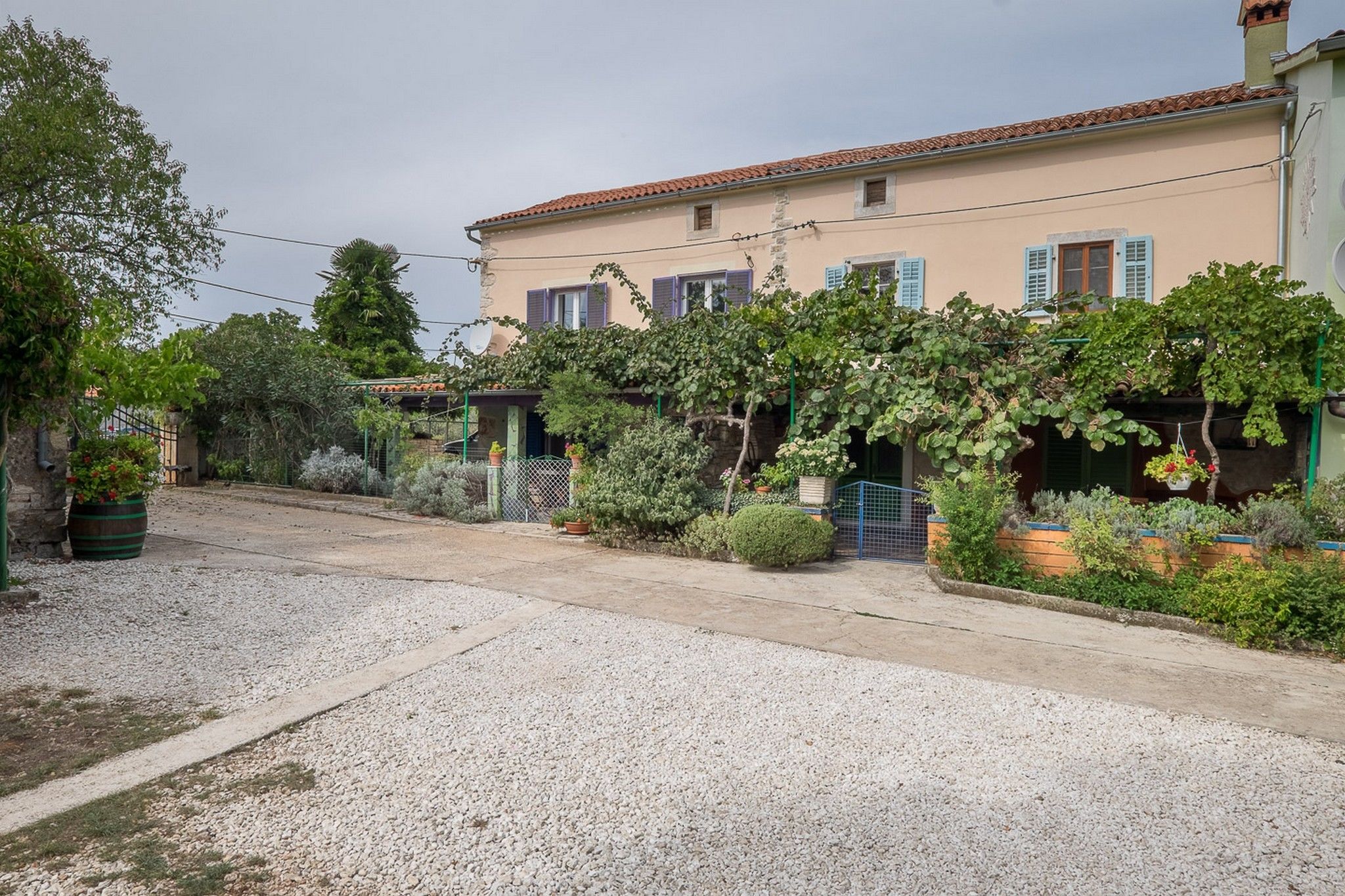 House Nina 70262-K2