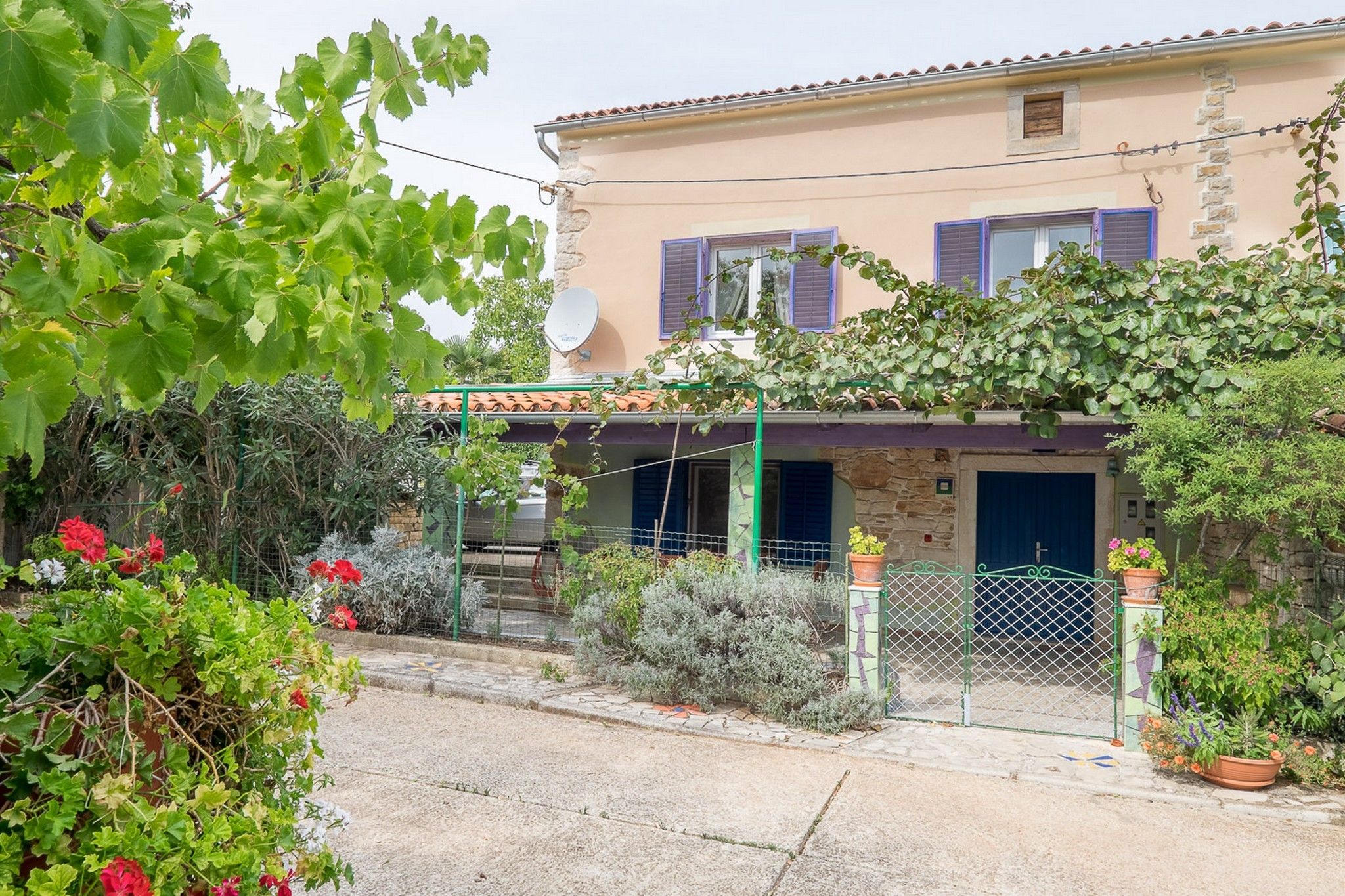 House Nina 70262-K2