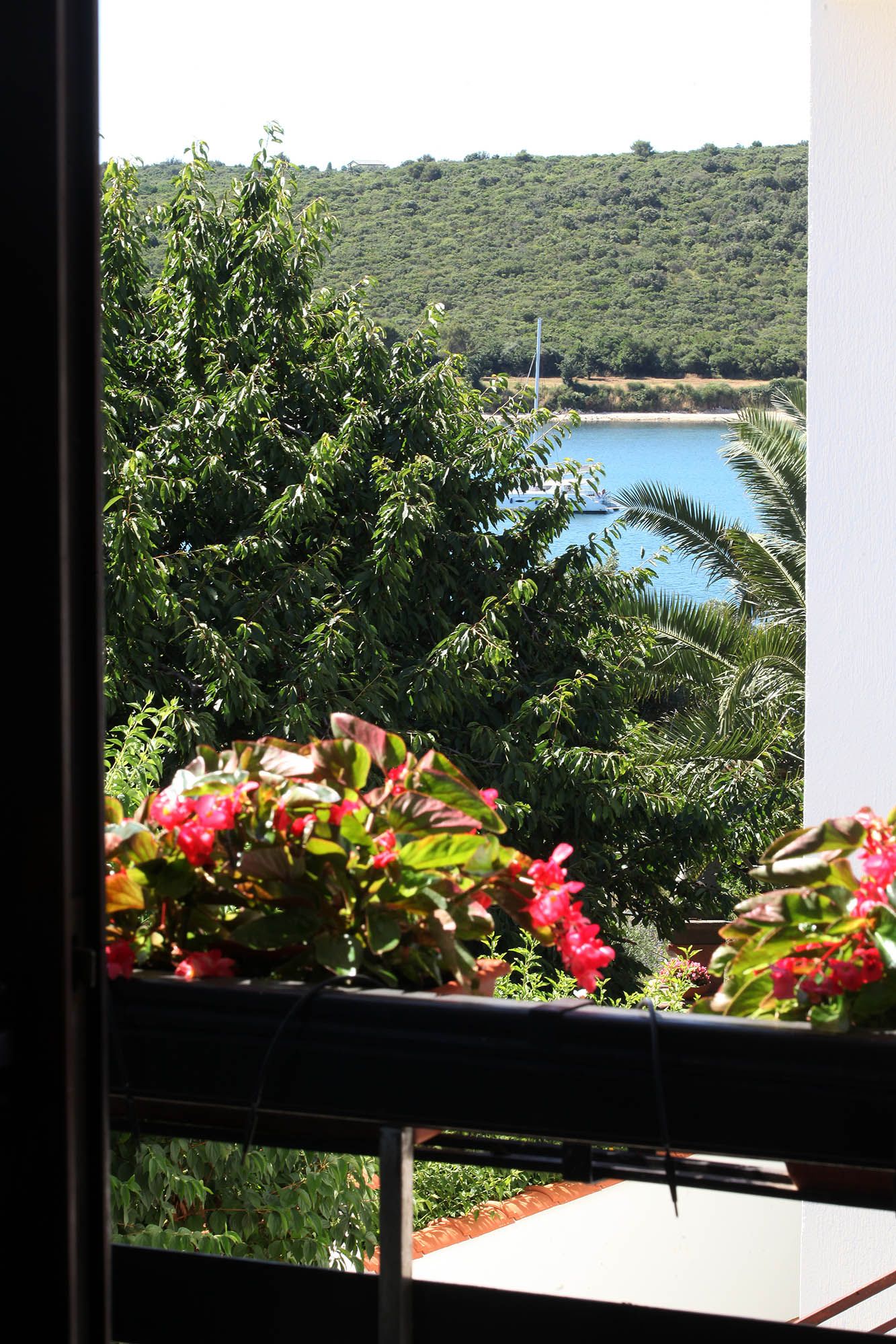 Photo of Apartments Patricia