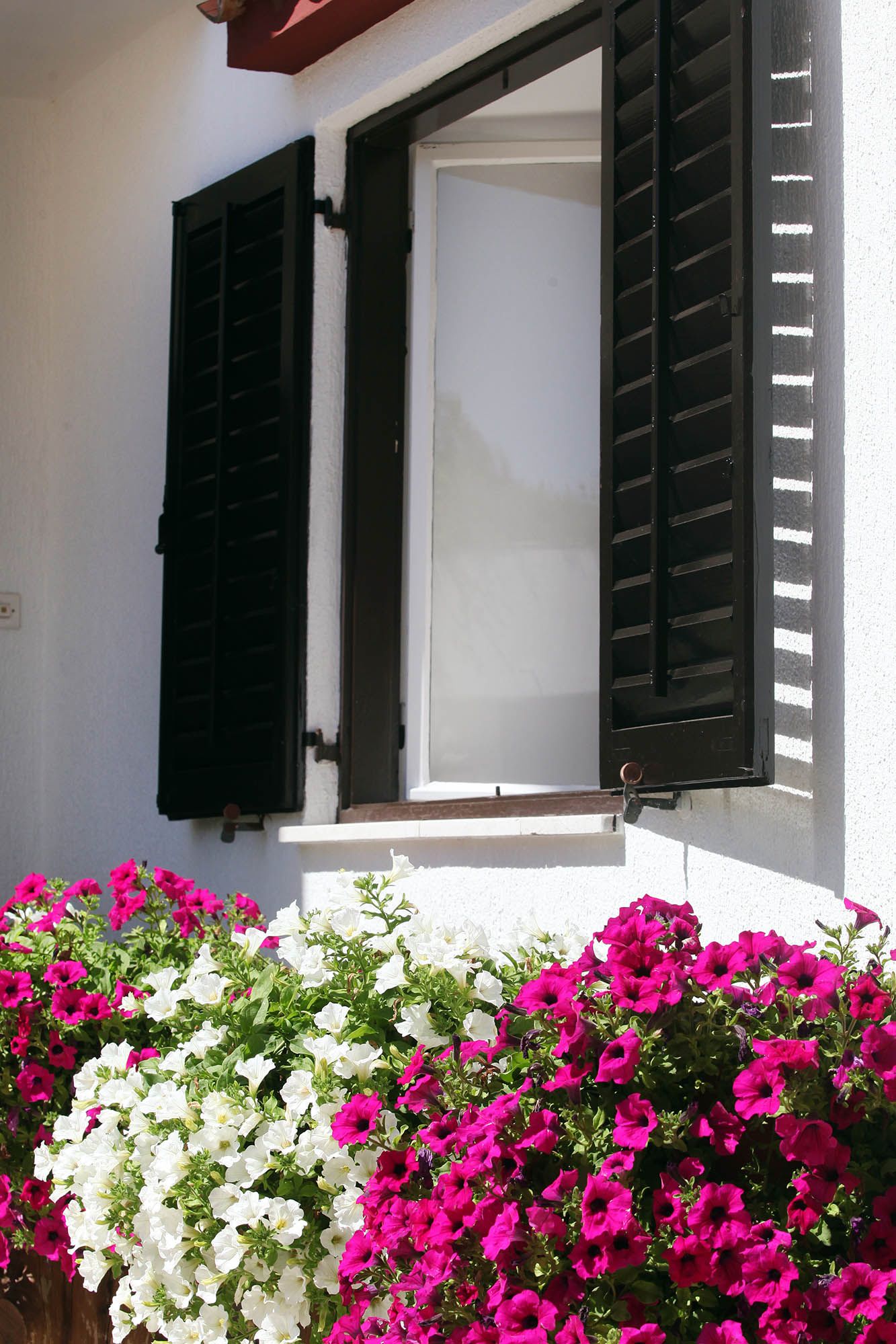 Photo of Apartments Patricia