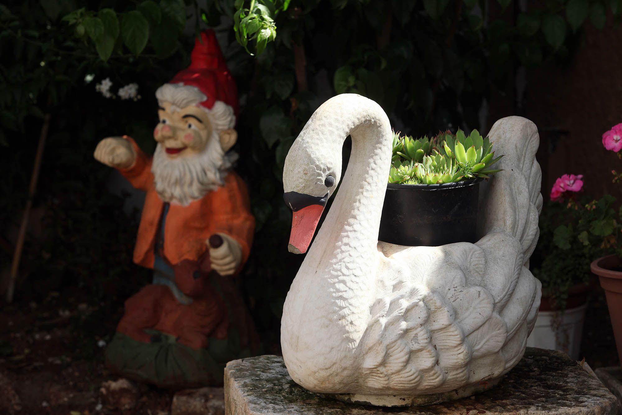 Photo of Apartments Patricia