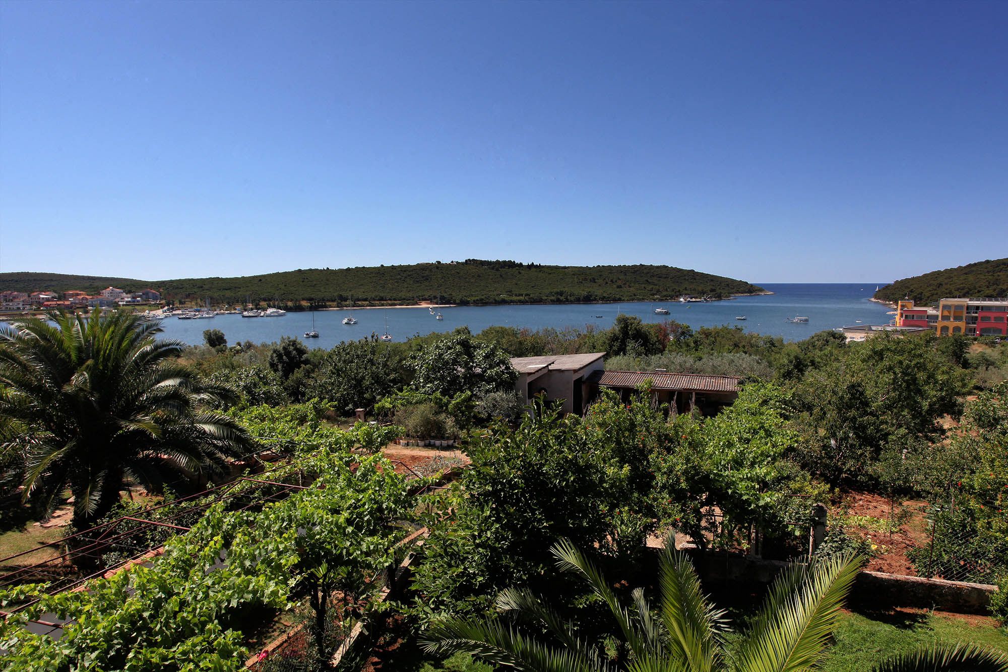 Photo of Apartments Patricia