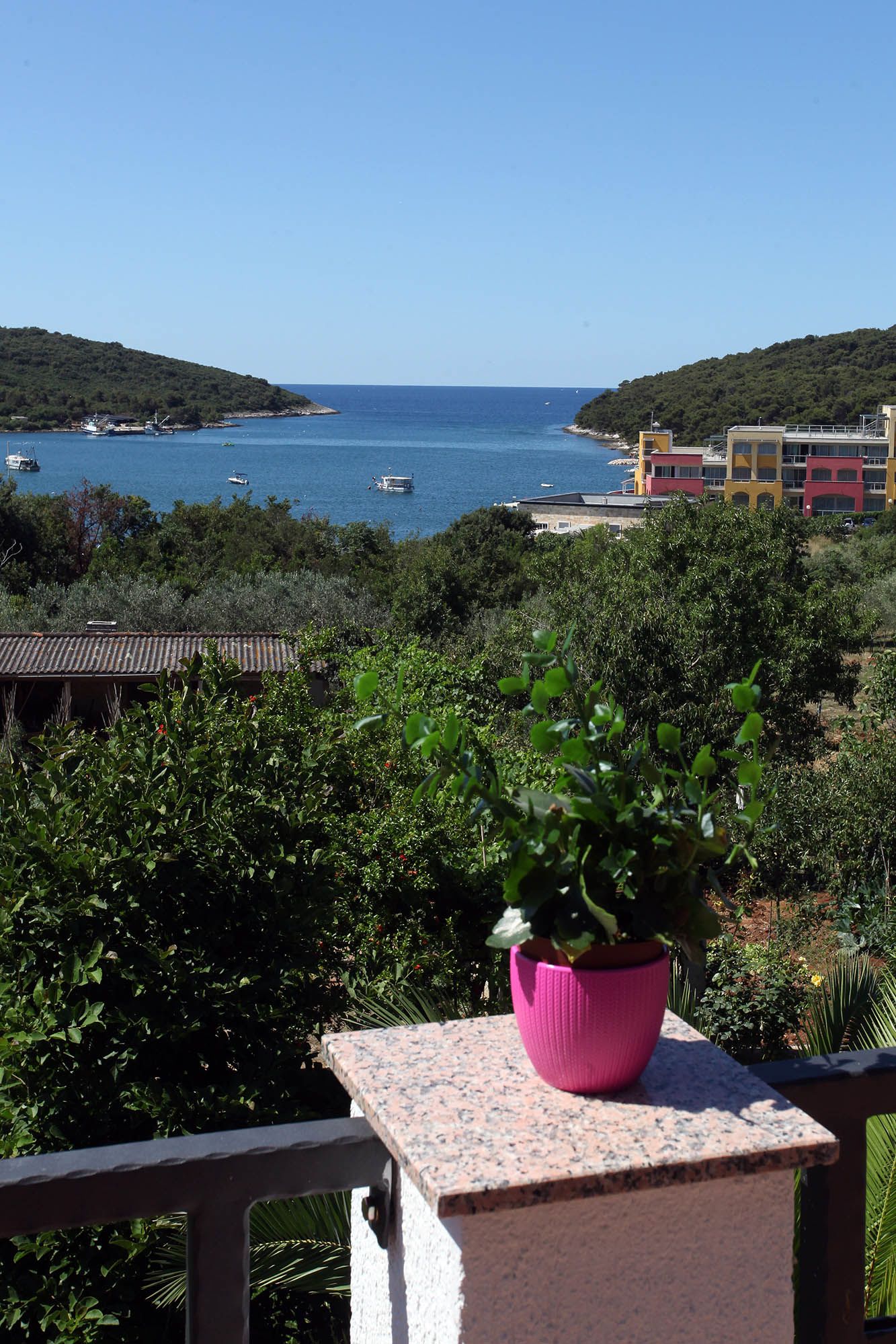 Photo of Apartments Patricia