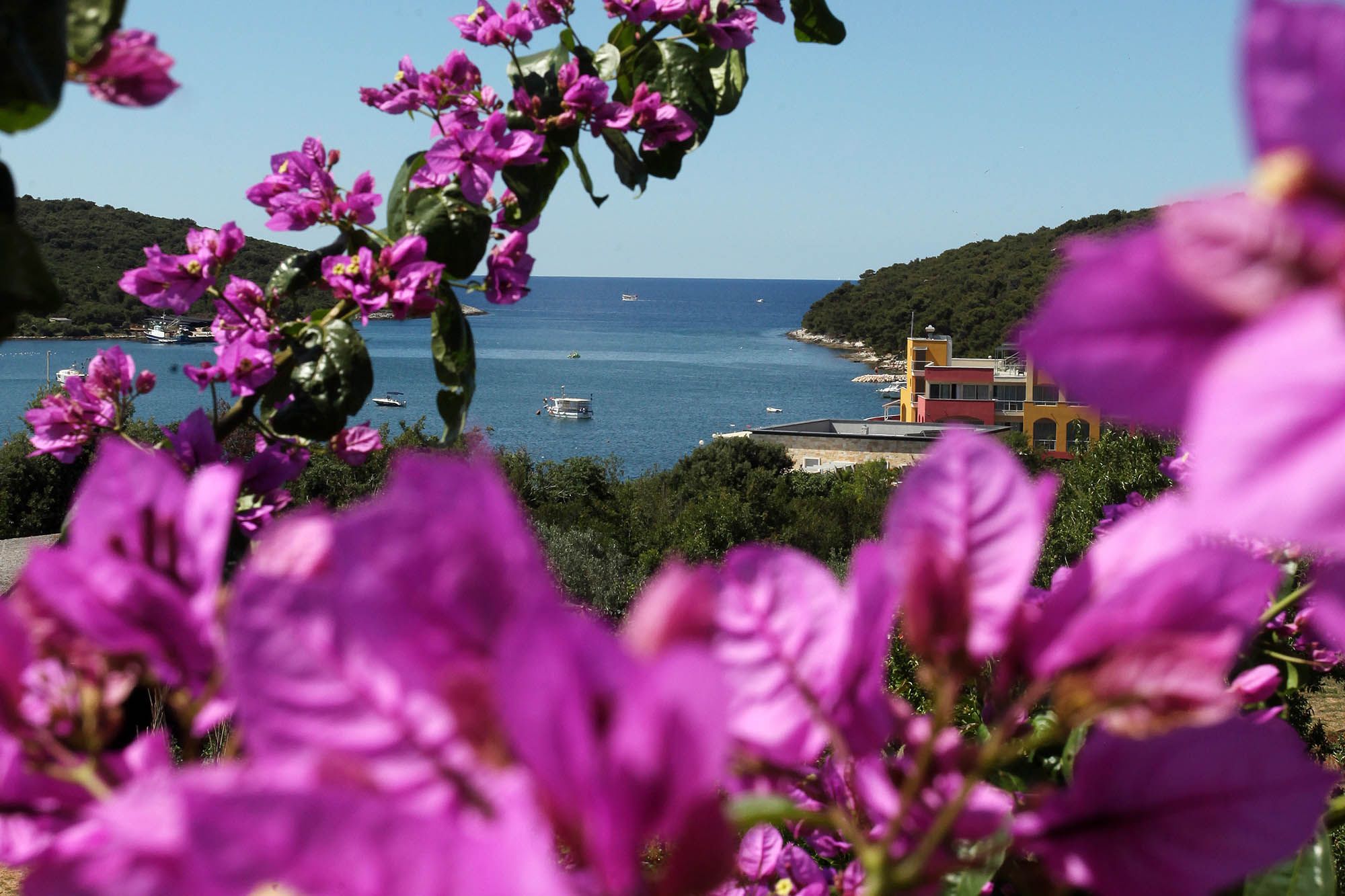 Photo of Apartments Patricia