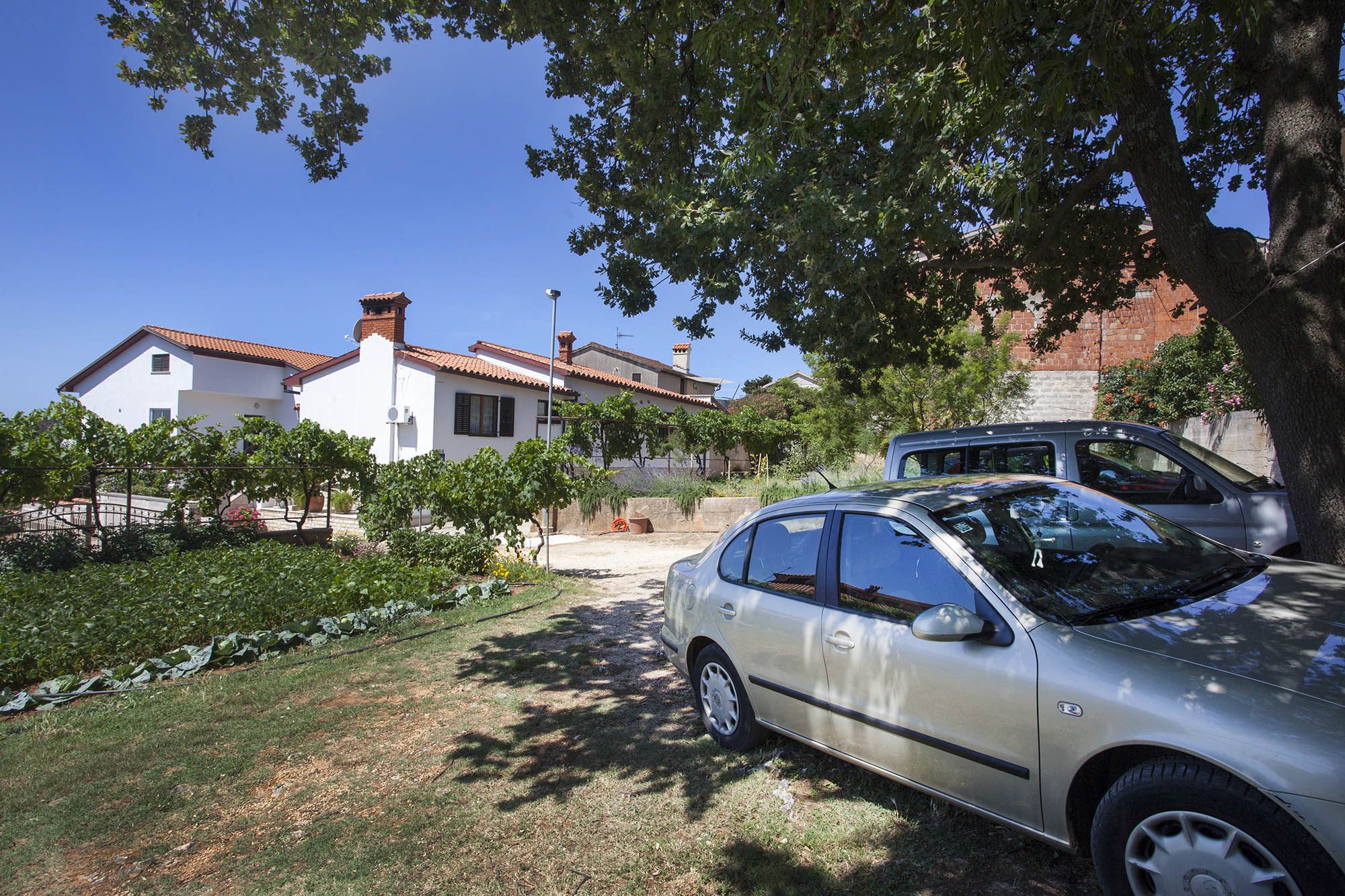 Photo of Apartments Patricia