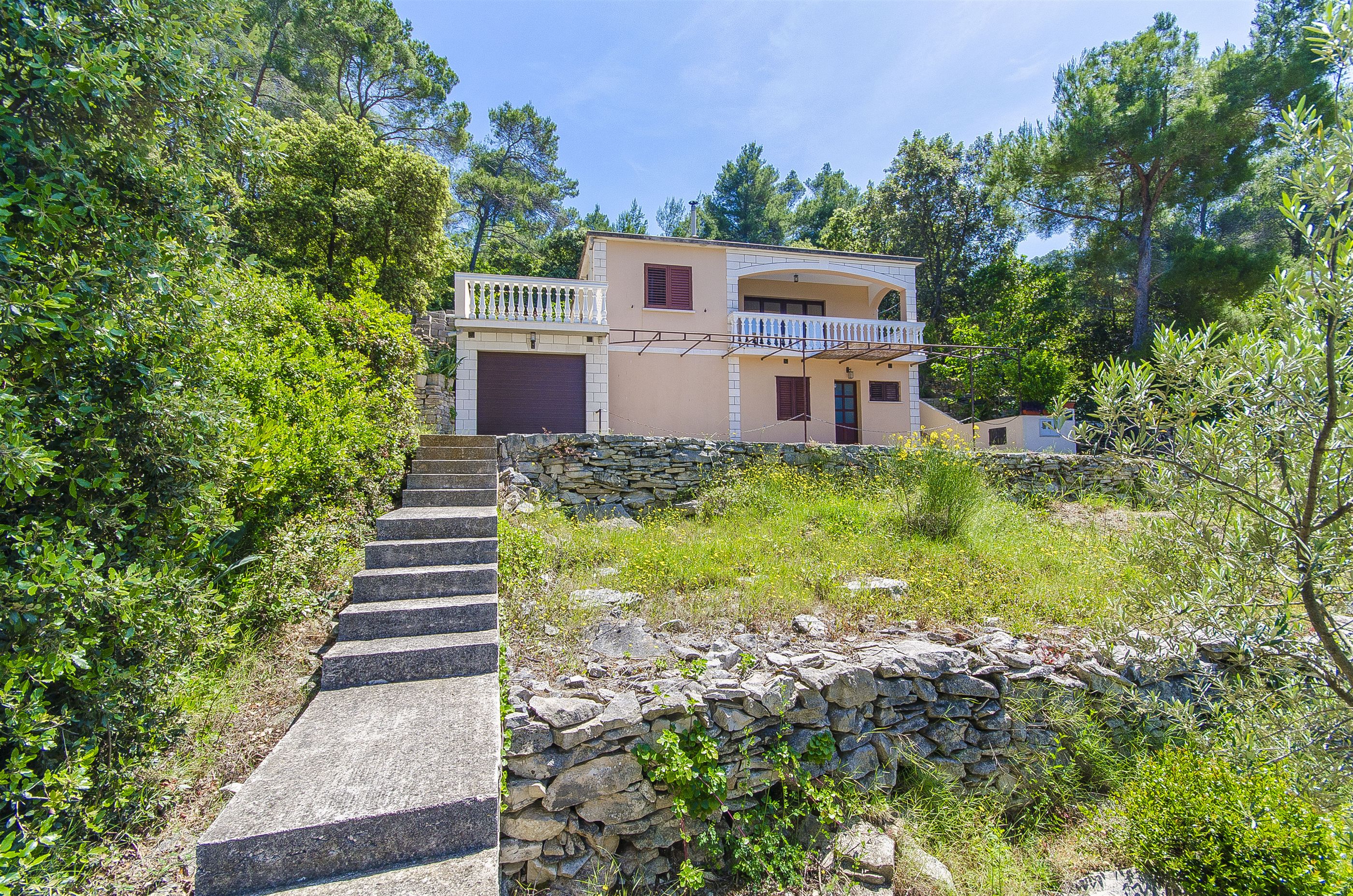 House Ivan 53281-K1