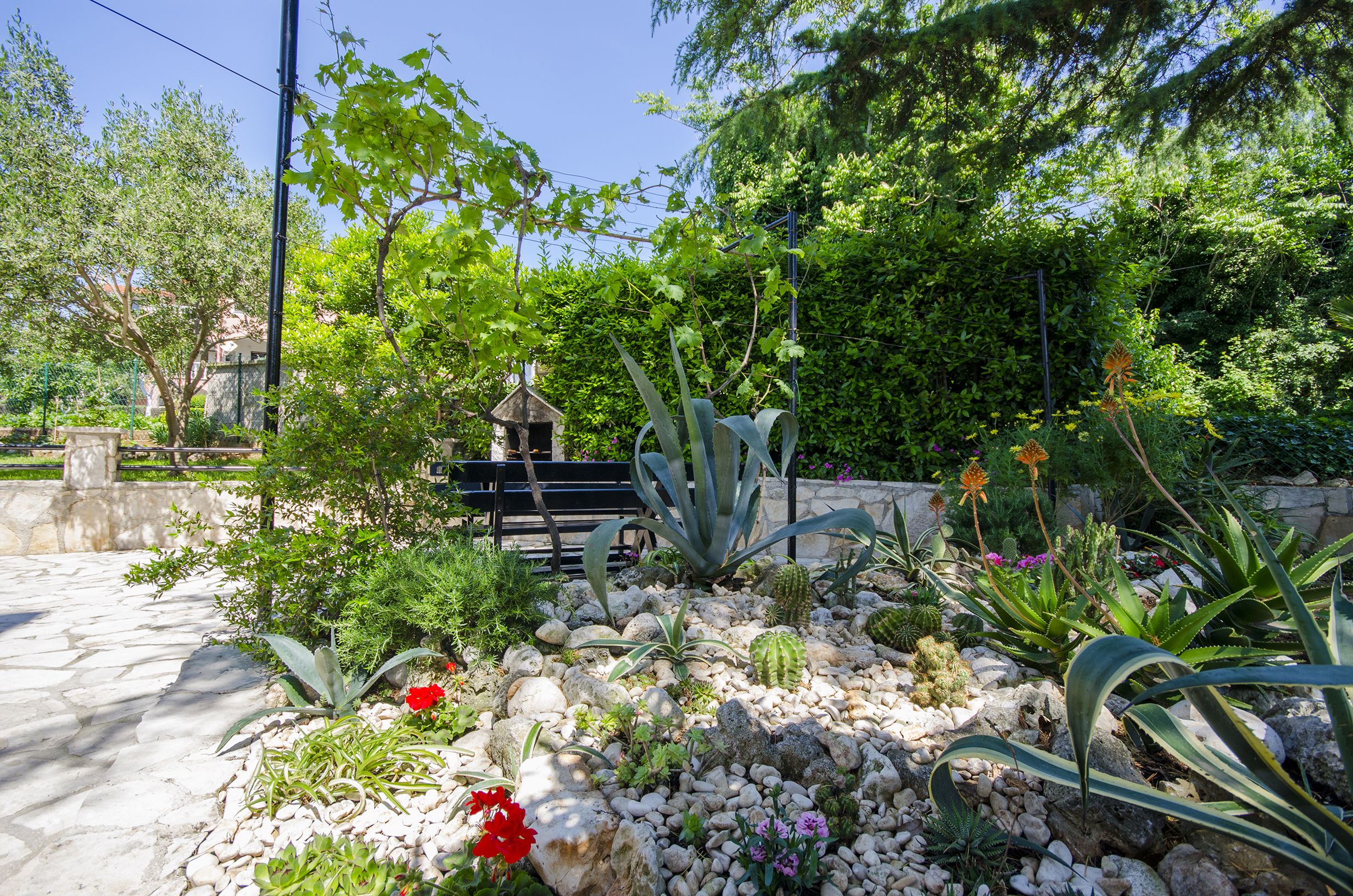 Apartments Dragutin 70501-A3