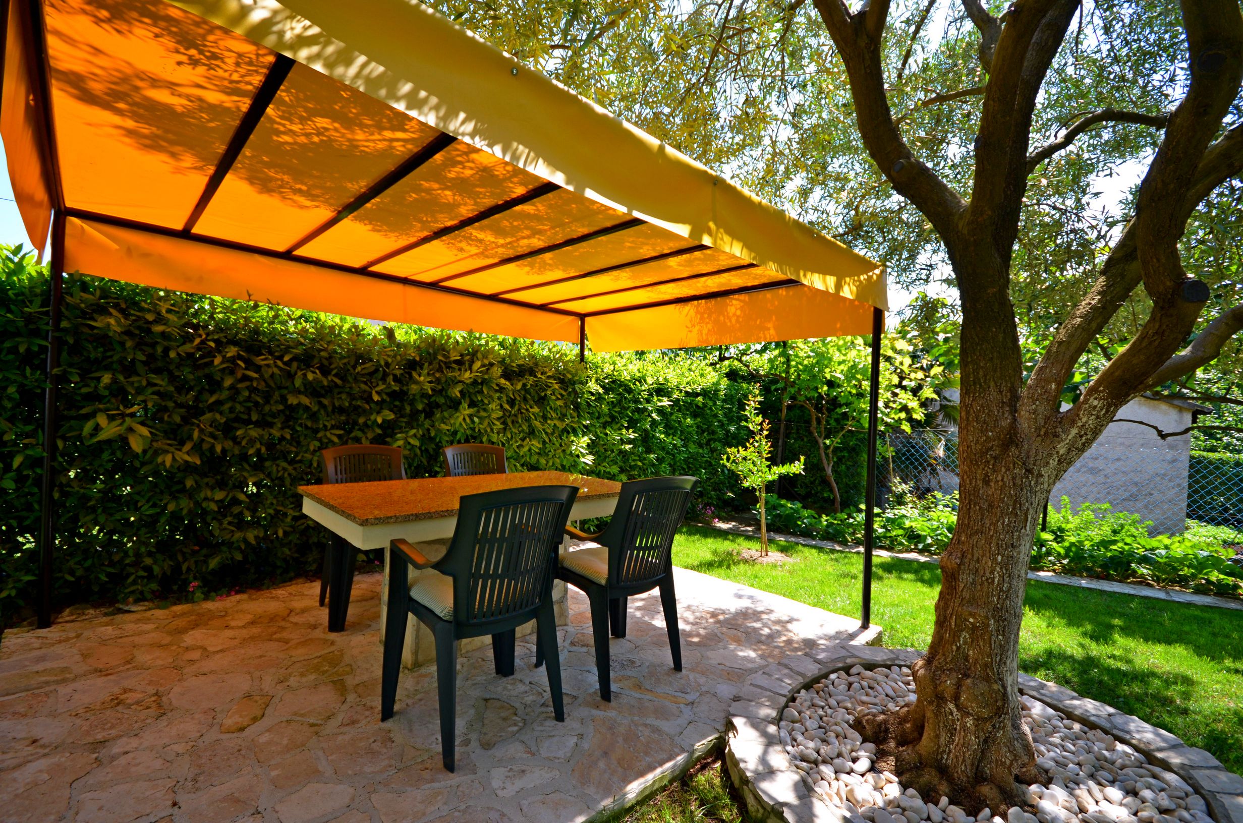 Photo of Apartments Dragutin