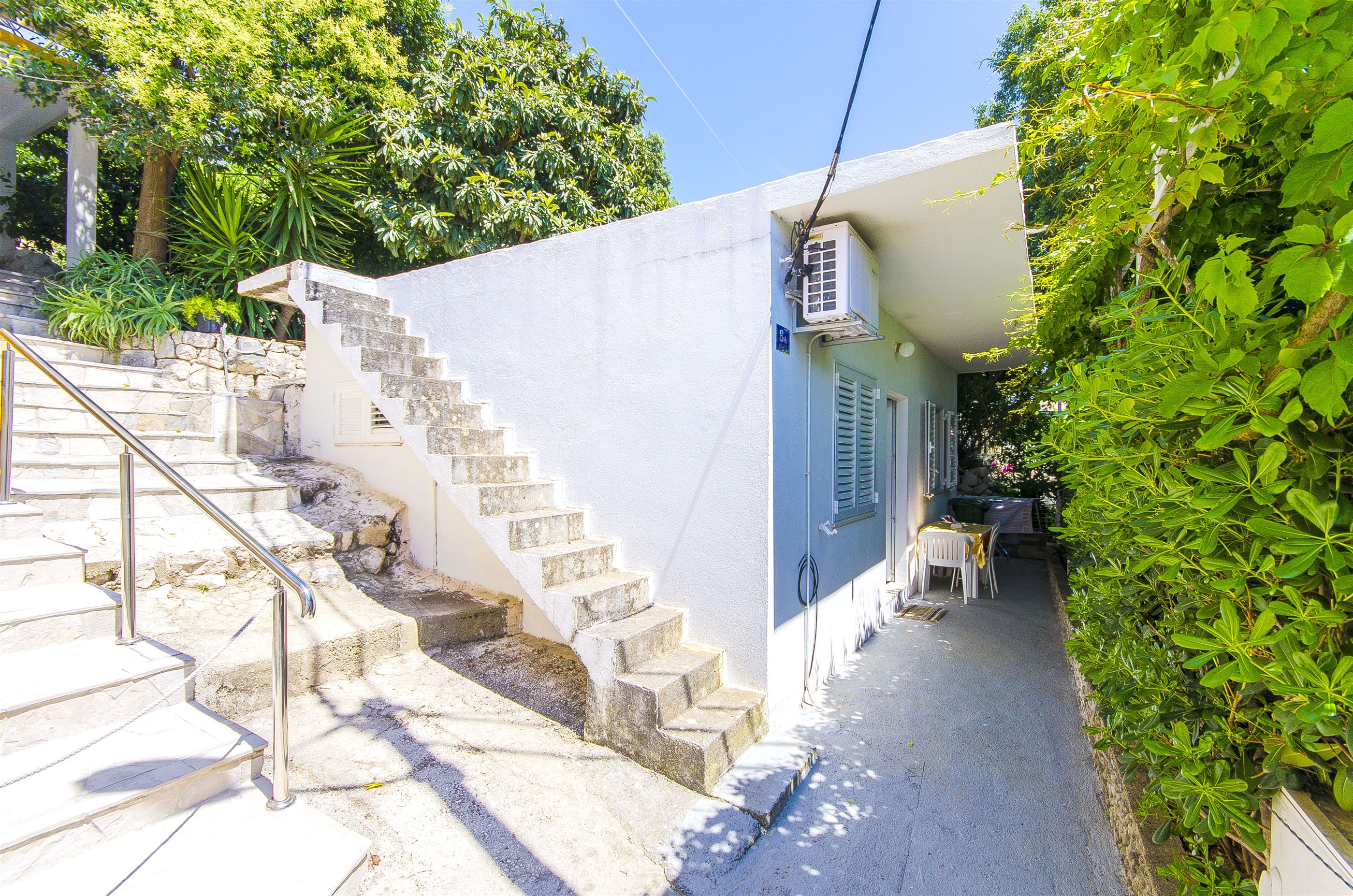 House Rose 44391-K1