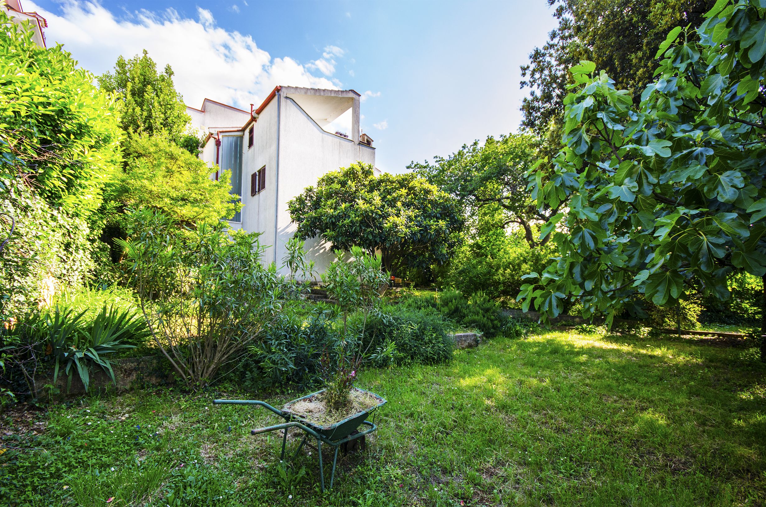 Apartments Davorka 71751-A1