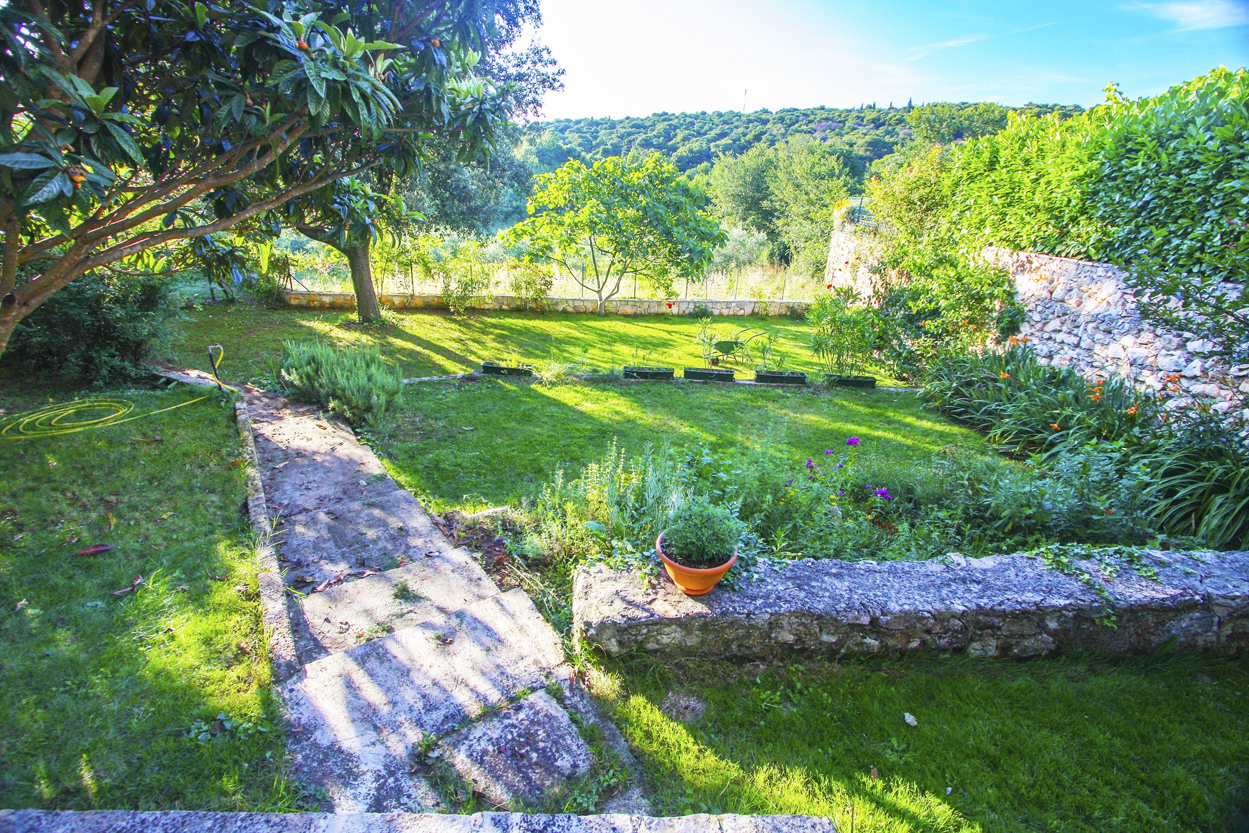 Photo of Apartments Davorka