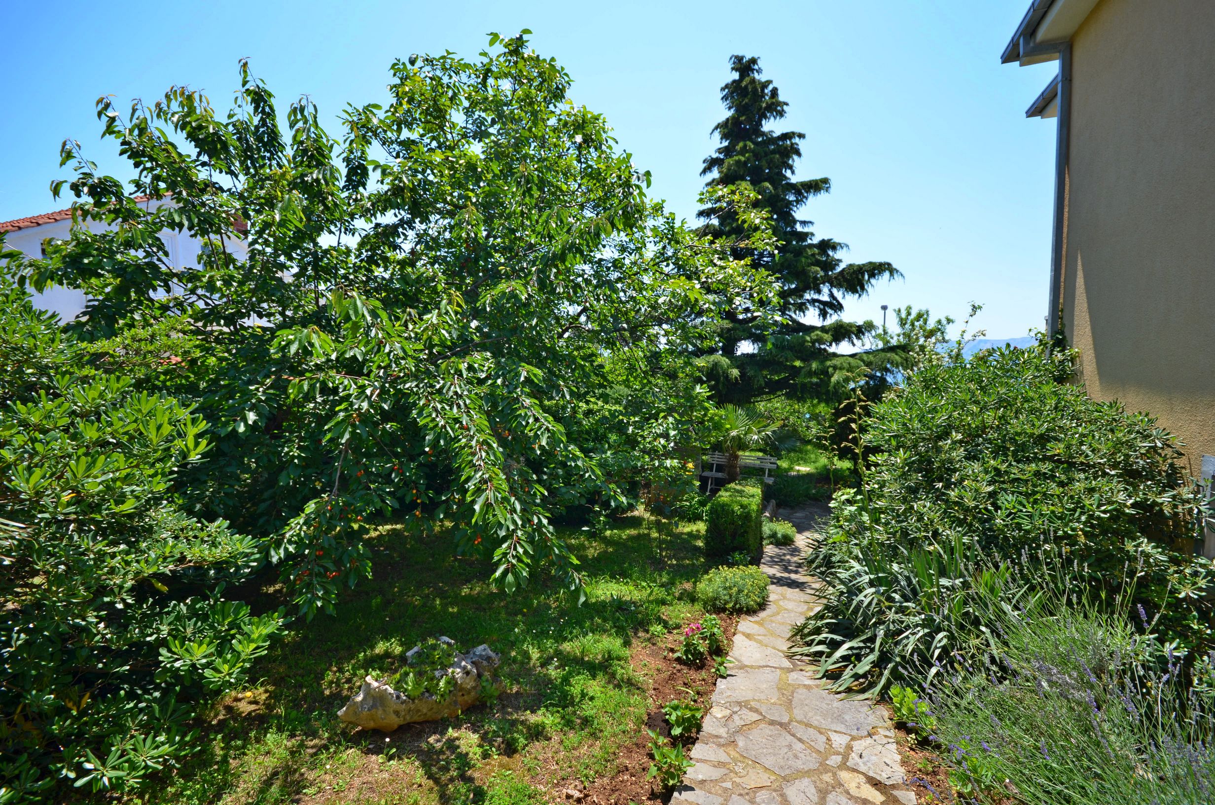 Apartments Jadrana 61711-A1