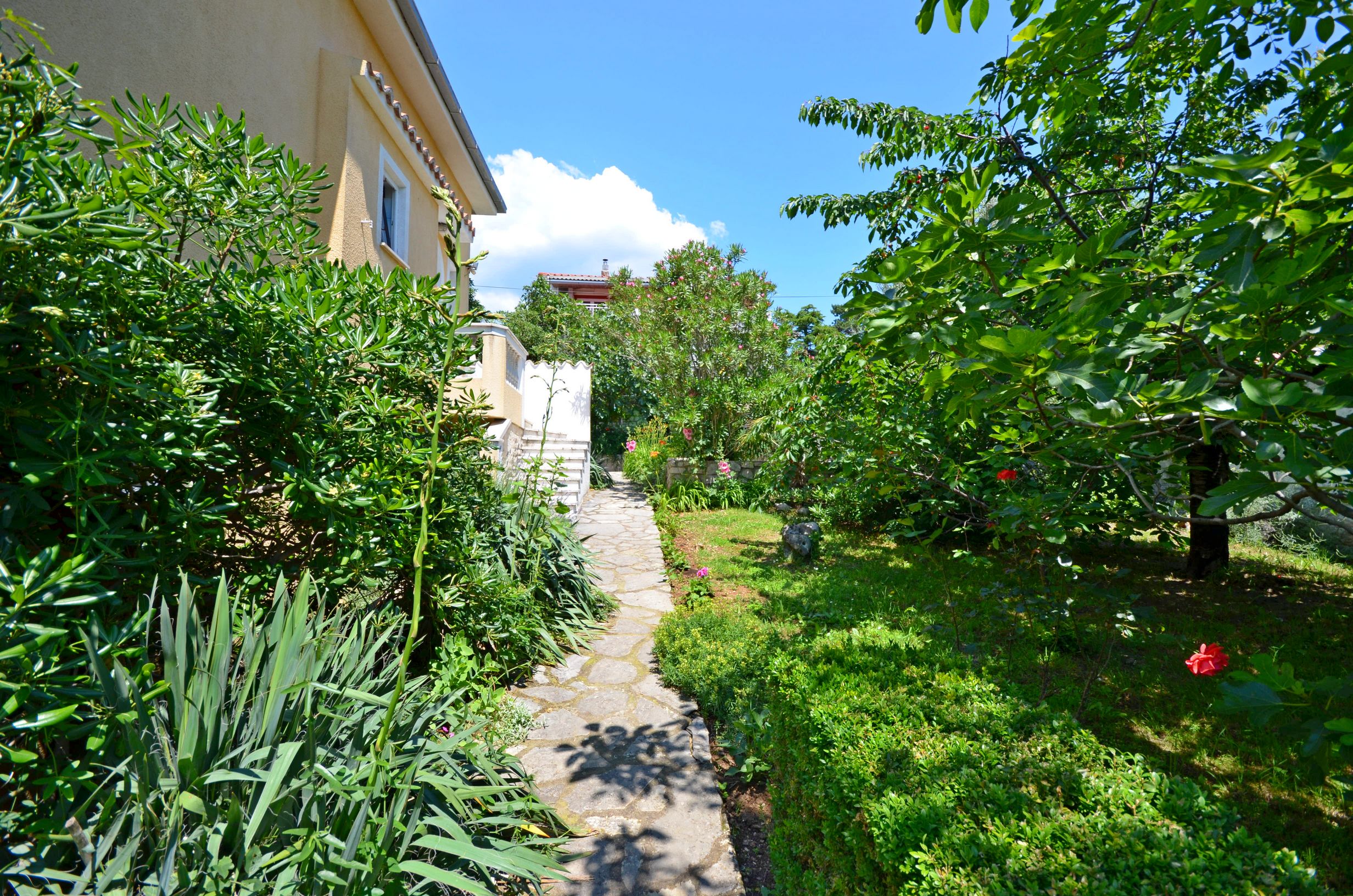 Apartments Jadrana 61711-A1