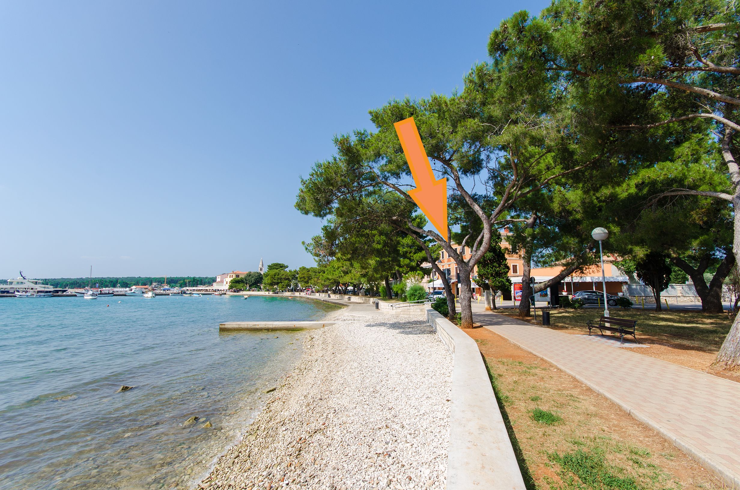 Photo of Apartments Stanislava