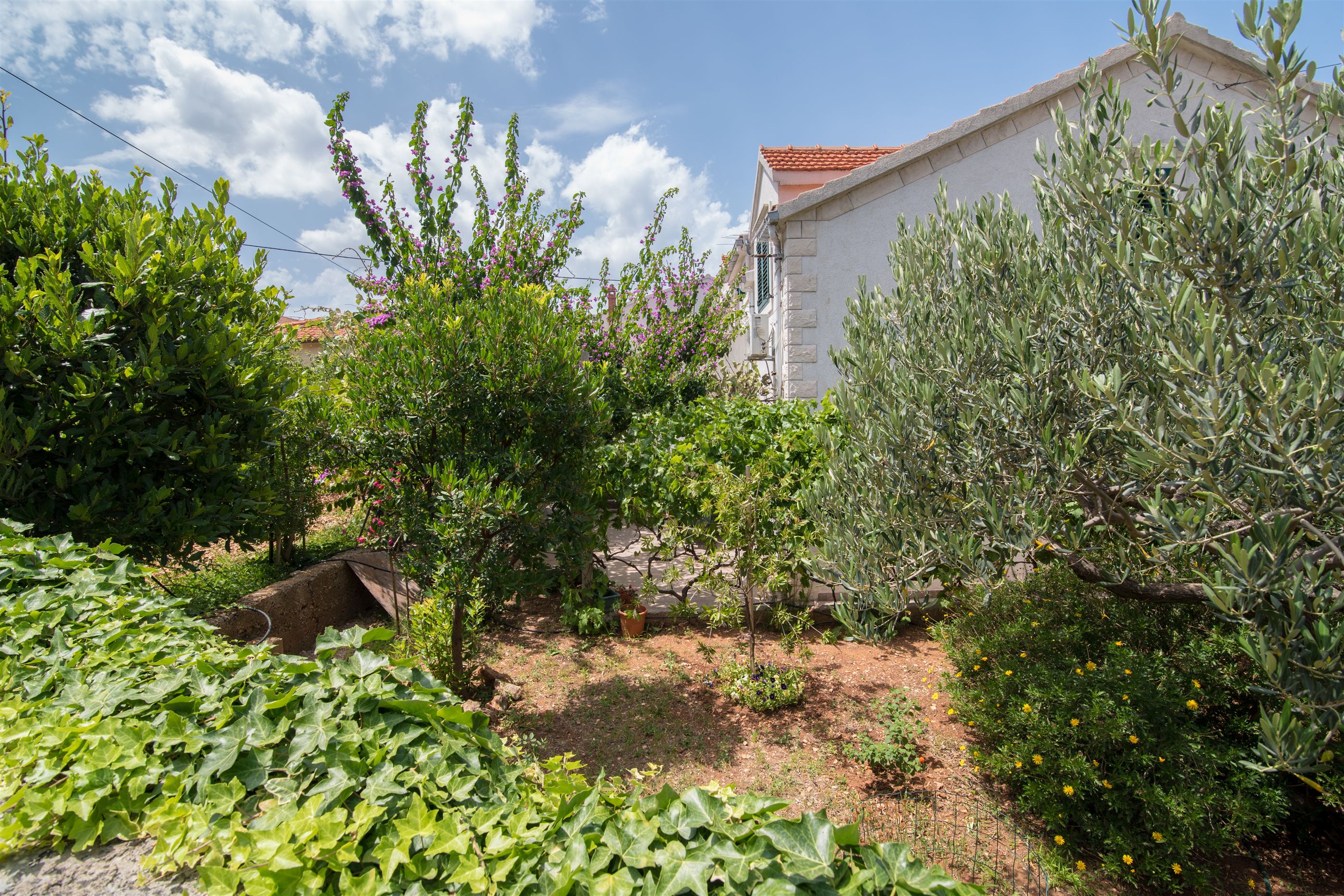 Apartments Tihana 44621-A2