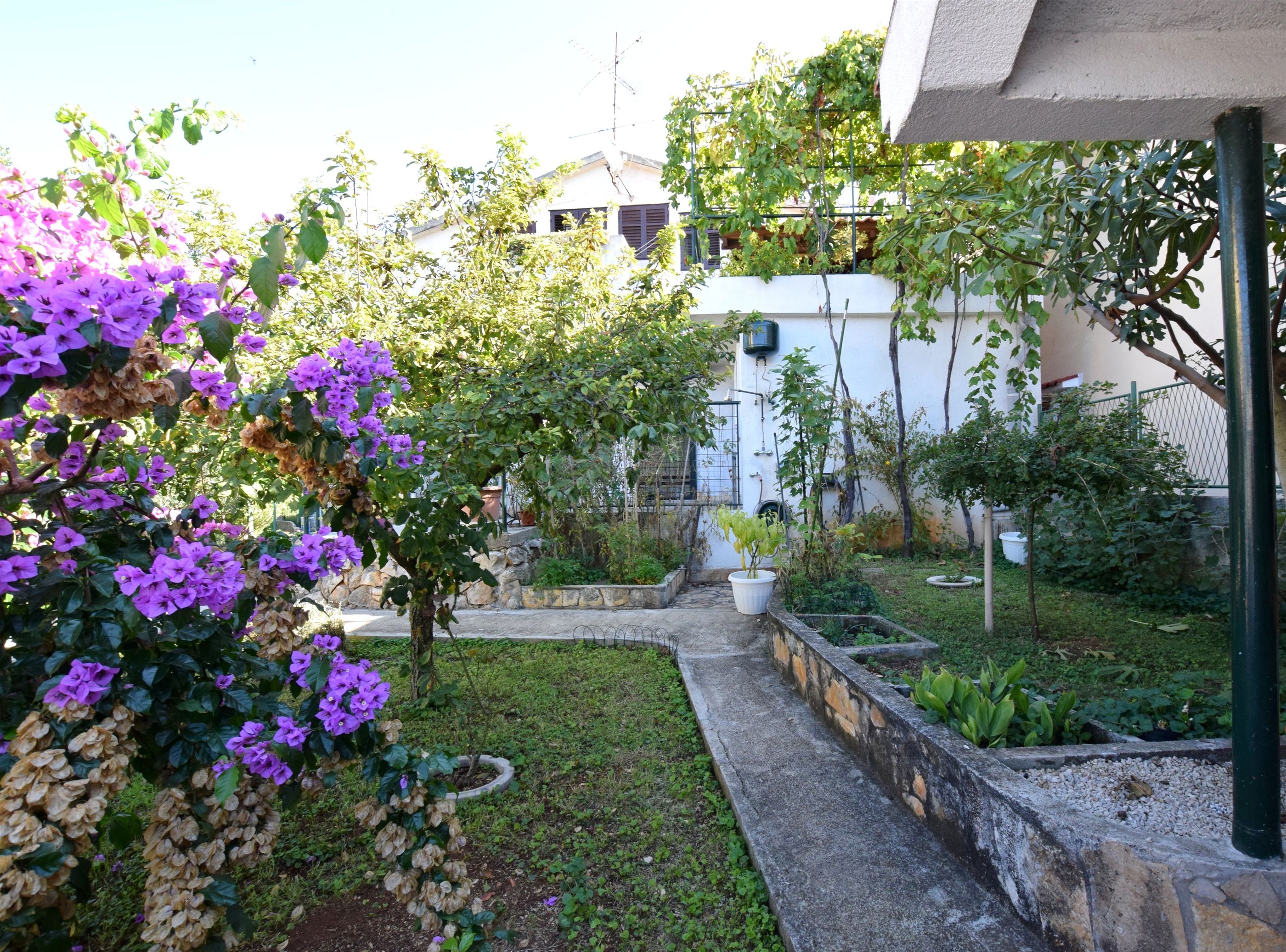 Apartment Mirjam 21281-A1