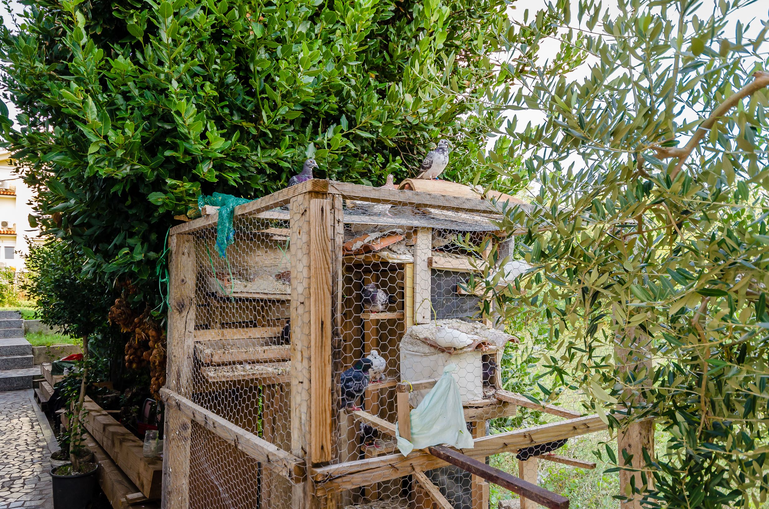 Photo of Apartments Rajka