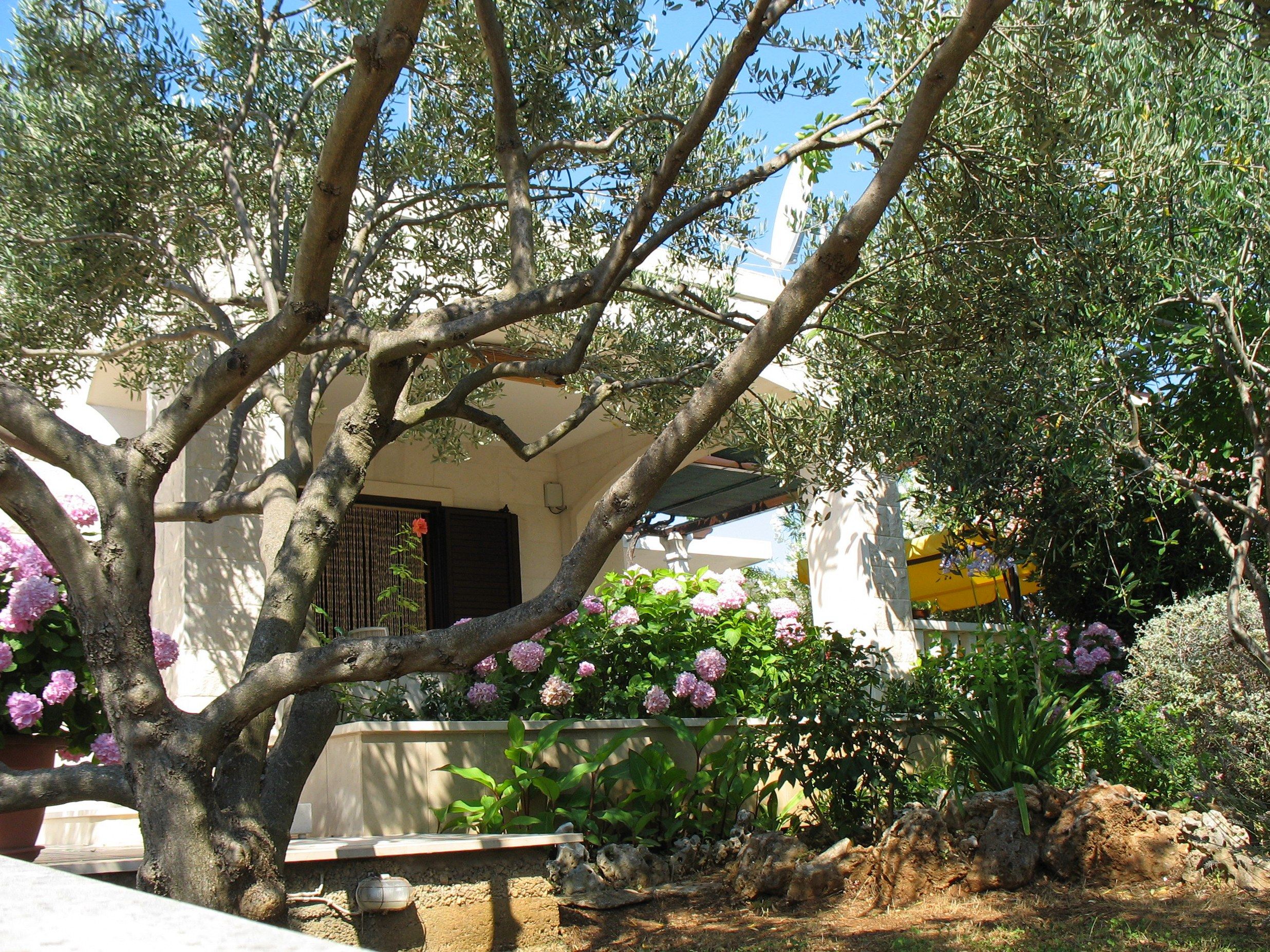 House Vinka 39651-K1