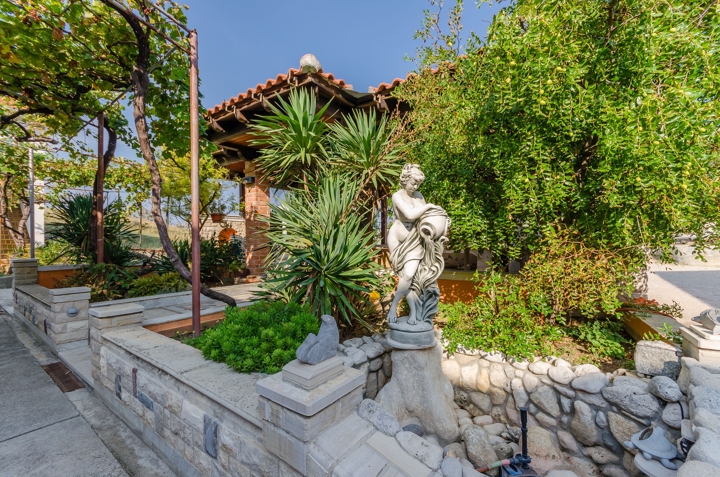 Photo of Apartments Darko