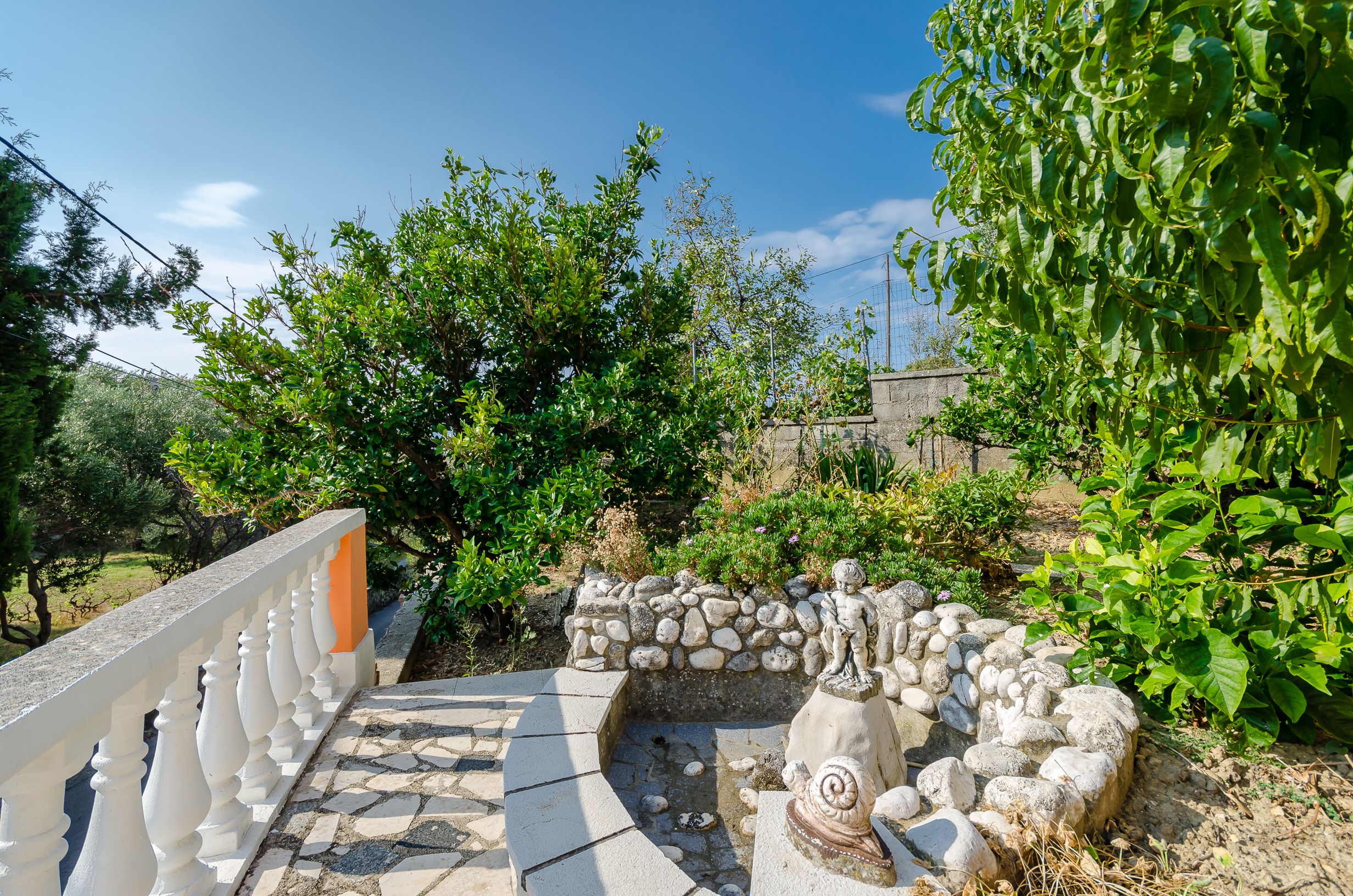 Photo of Apartments Darko