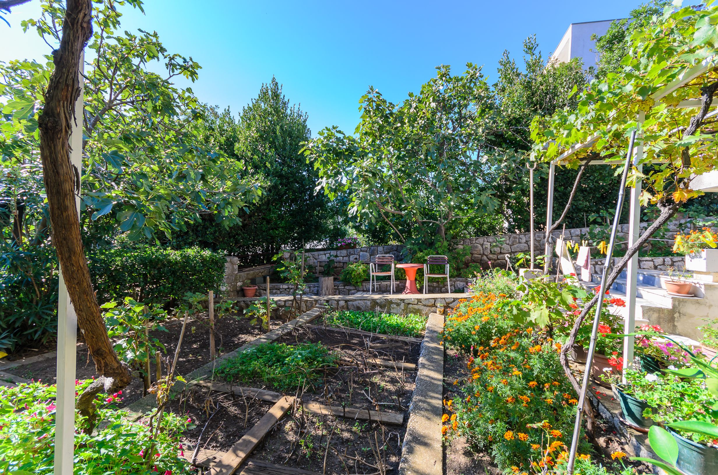 Apartment Marija 85961-A1