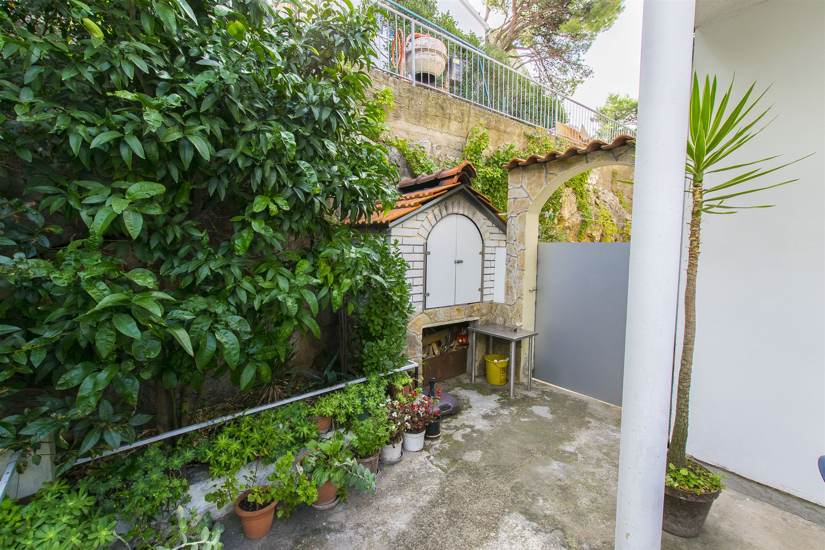 Apartment Branka A1