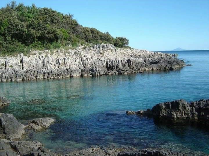 Photo of Apartment Rajka