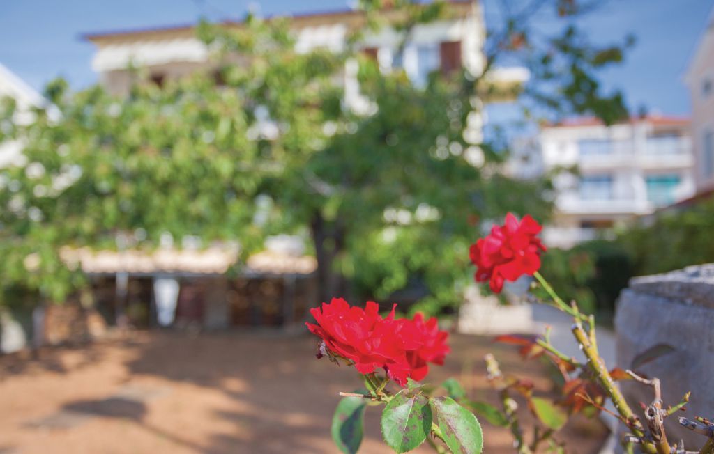 Apartments Nikola 86201-A1