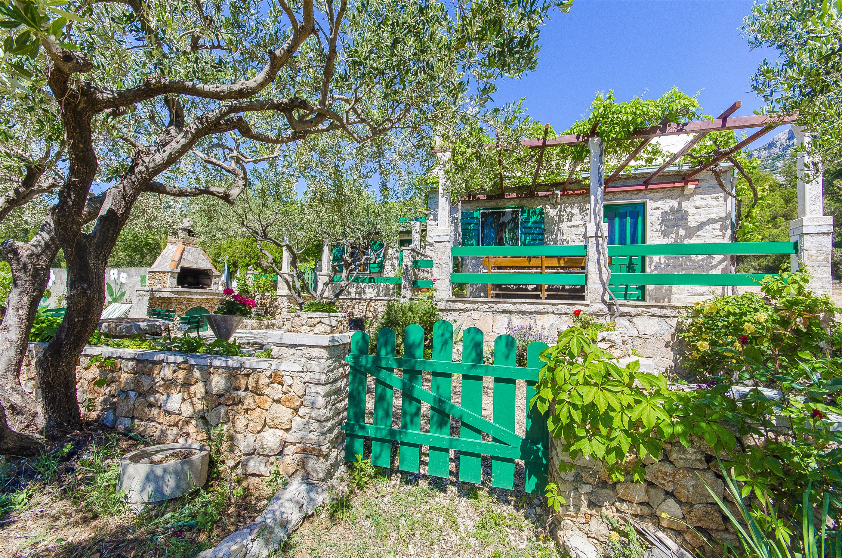 House Ivan 36692-K1