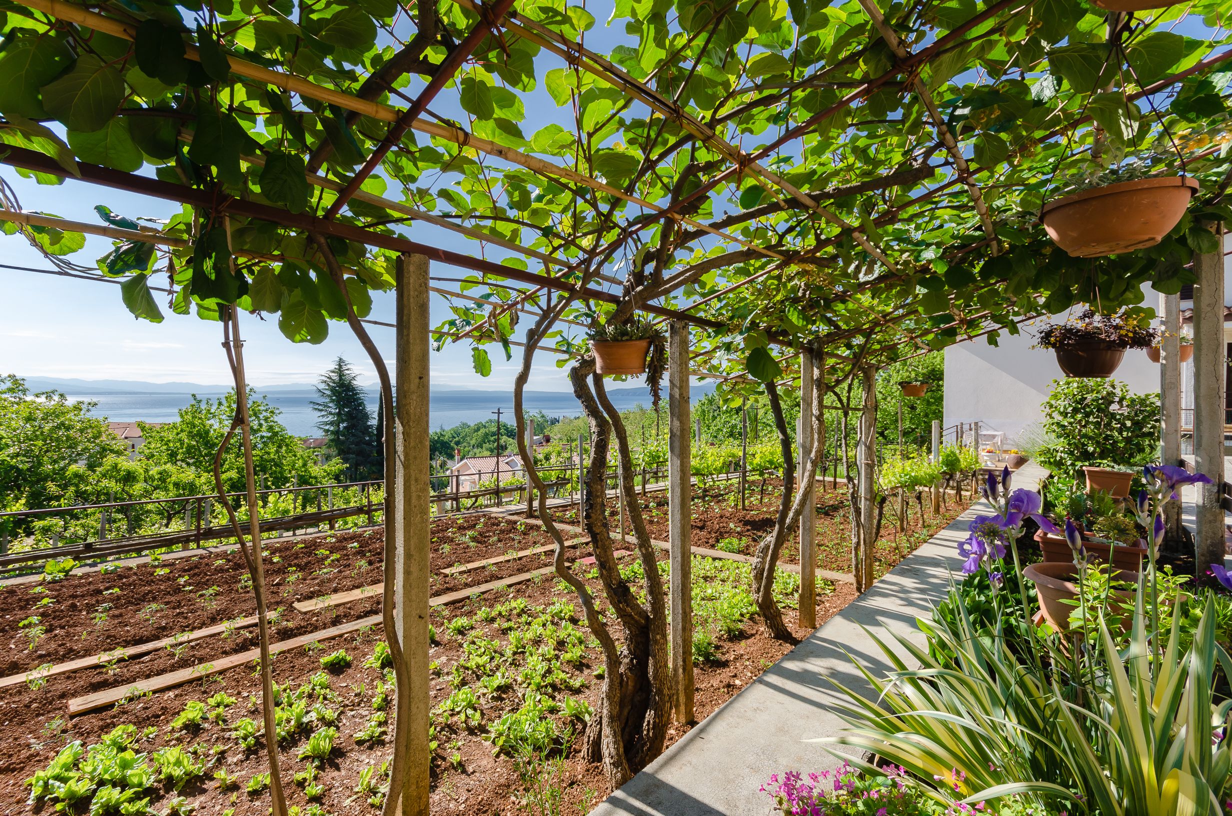 Photo of Apartments Ilinka