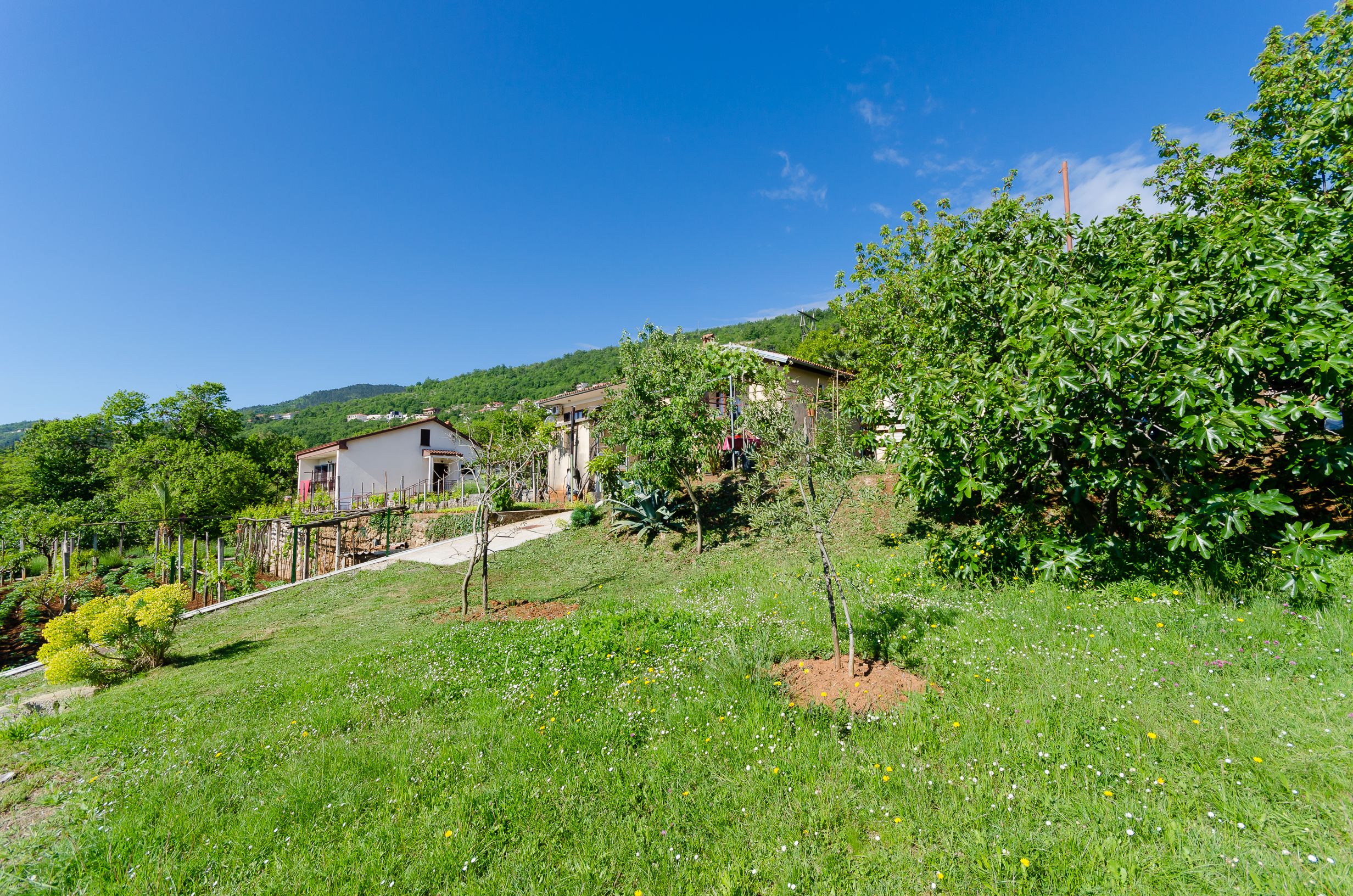 Apartments Ilinka 25061-A2