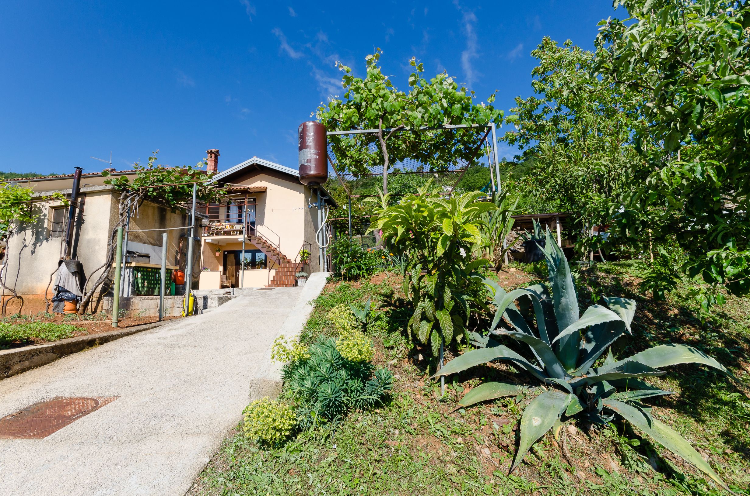 Apartments Ilinka 25061-A2