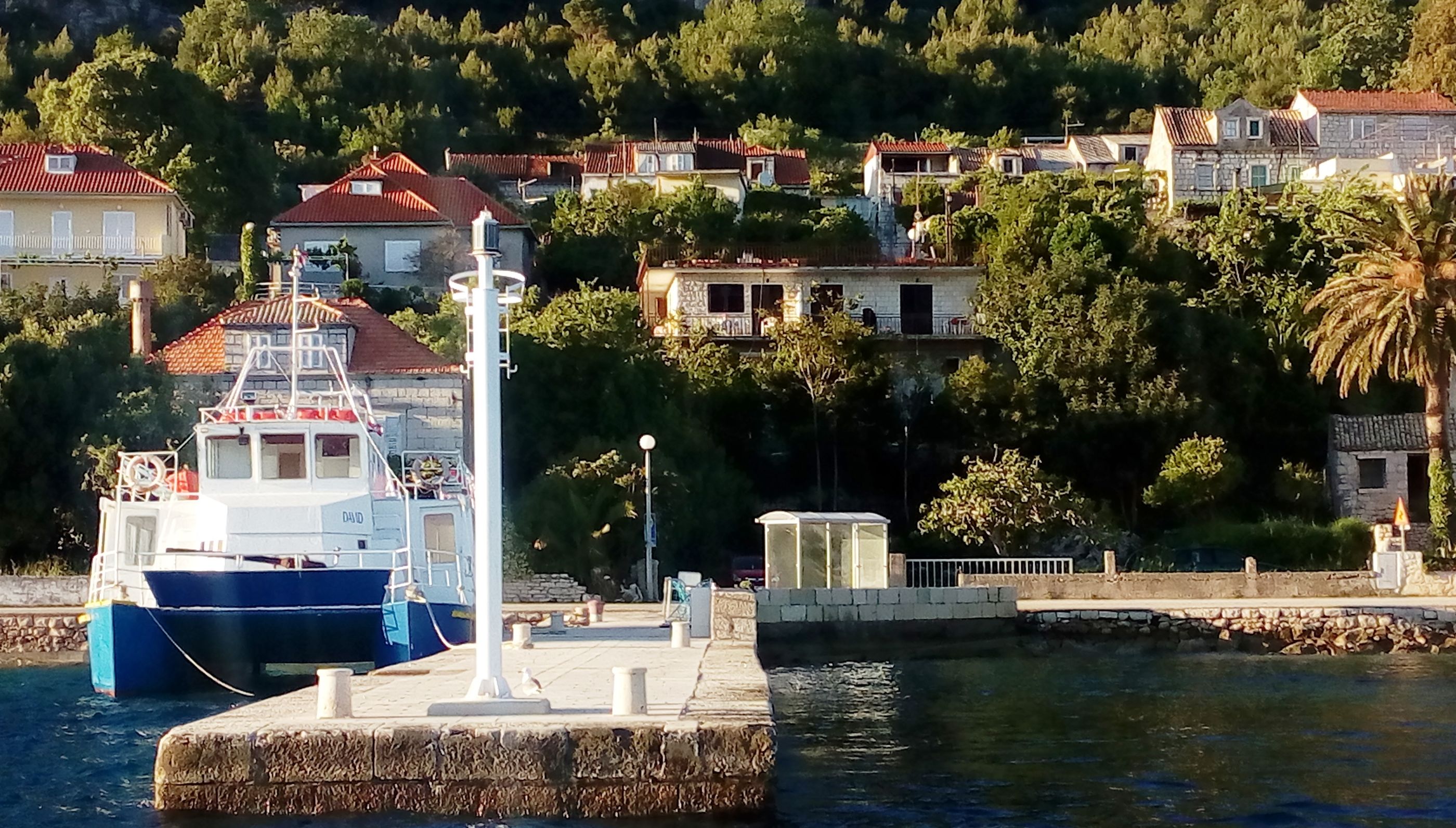 Apartman Ljilja A1