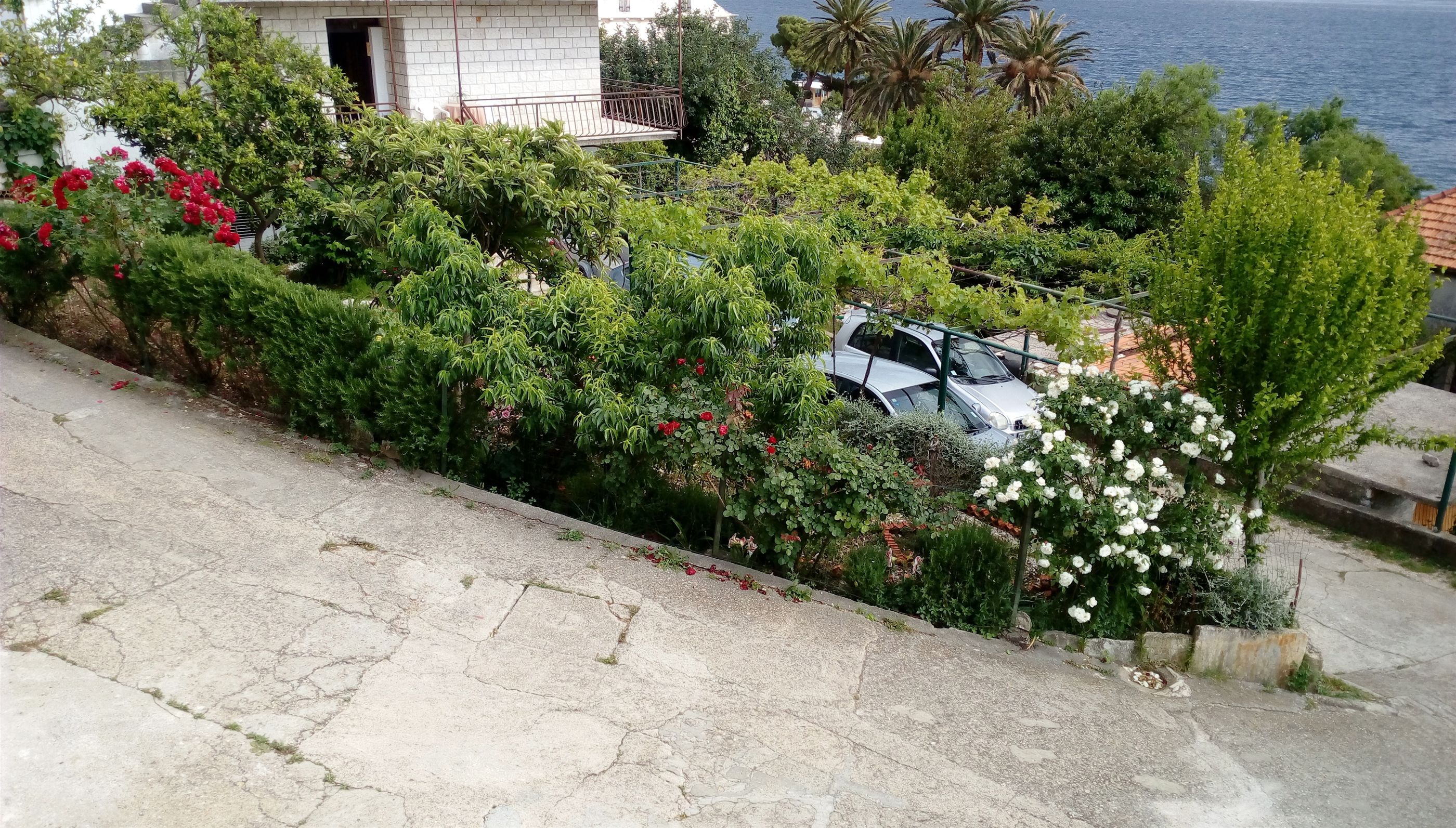 Apartman Ljilja A1