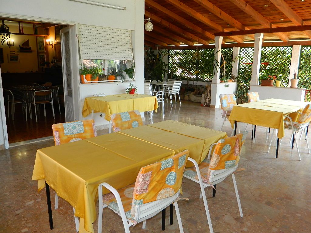 Apartments and Rooms Darinka 19271-S4