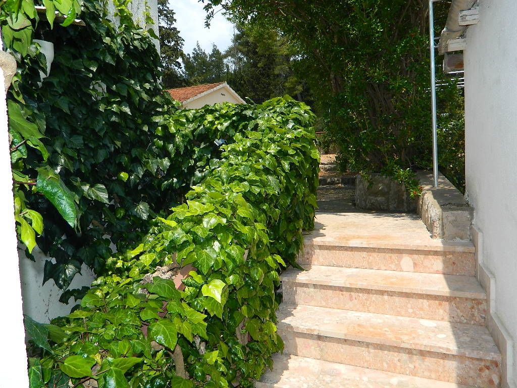 Apartments and Rooms Darinka 19271-S4