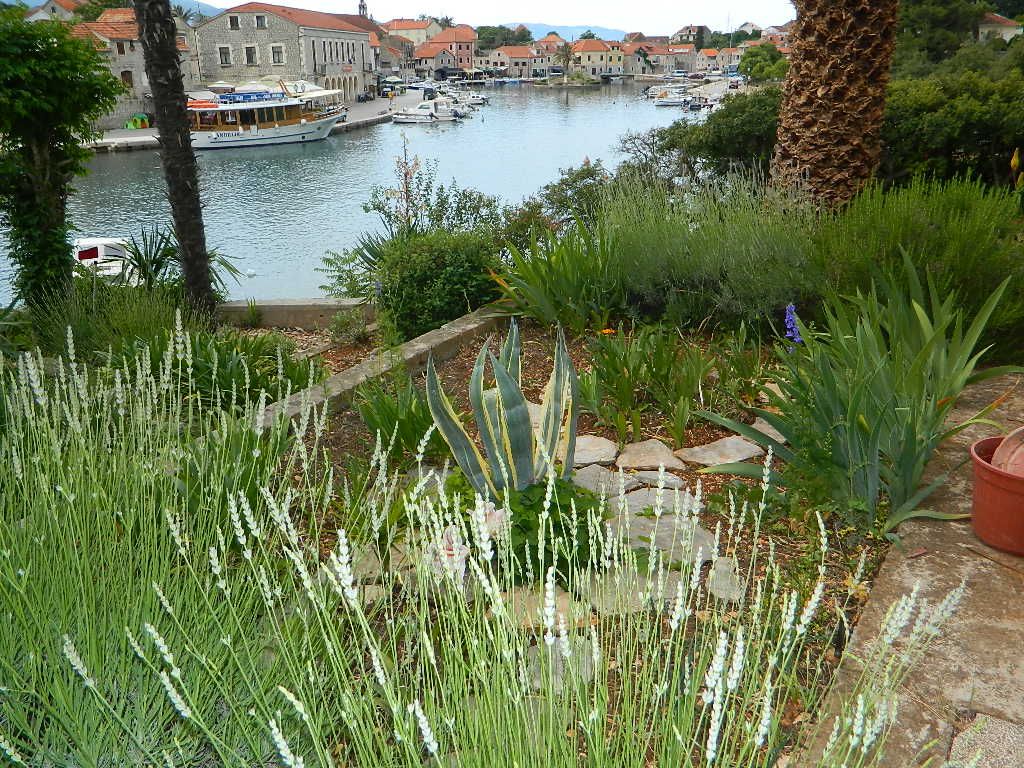 Apartments and Rooms Darinka 19271-S4
