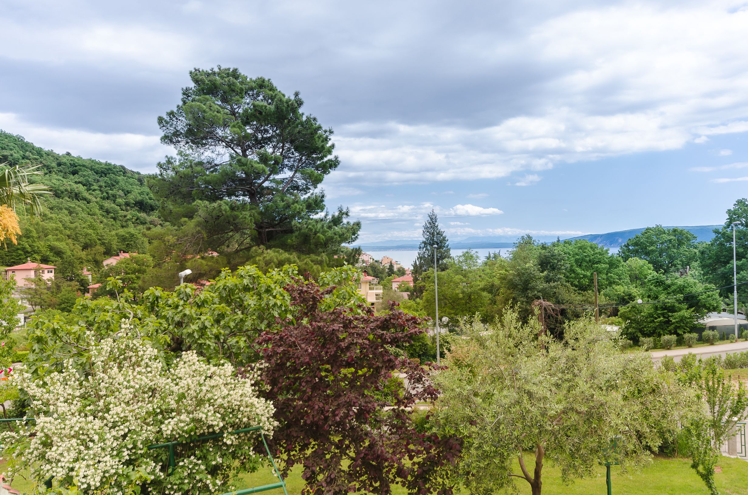 Apartments Branka 20361-A1