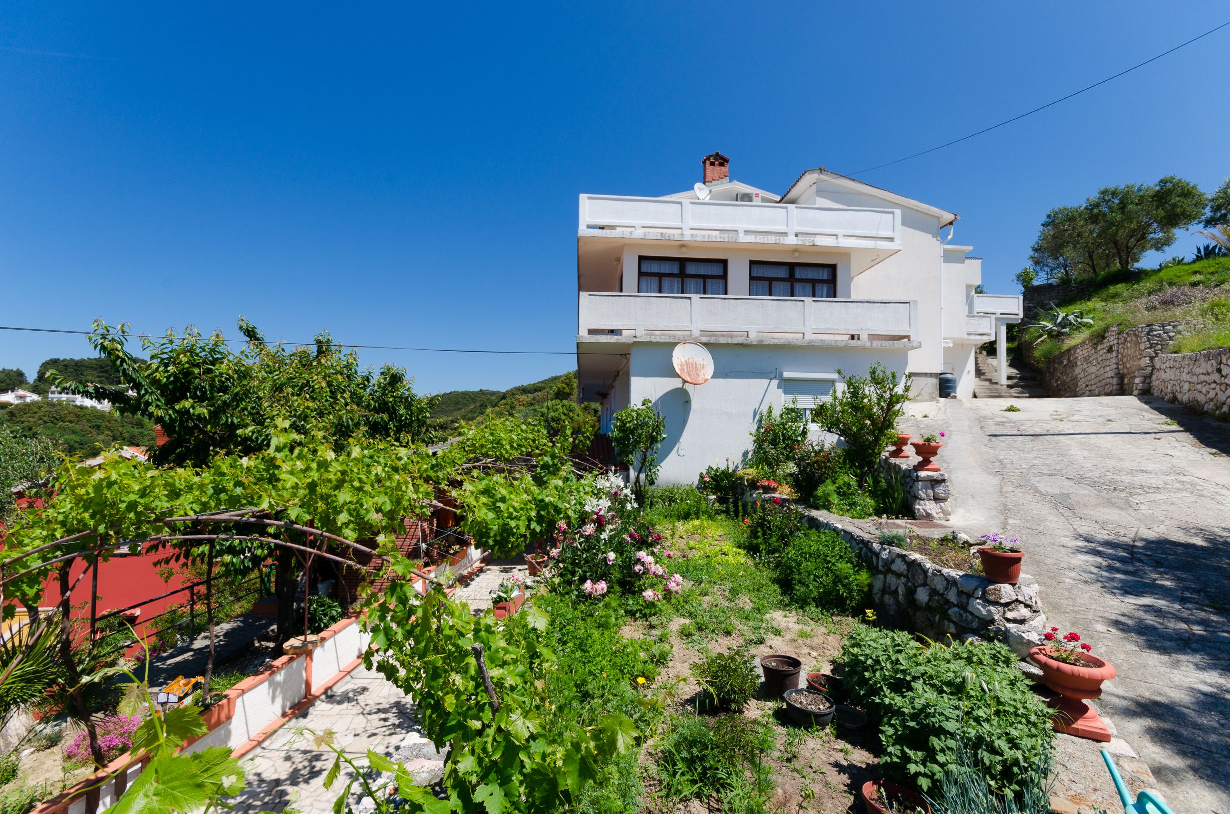 Apartment Anica 66851-A1
