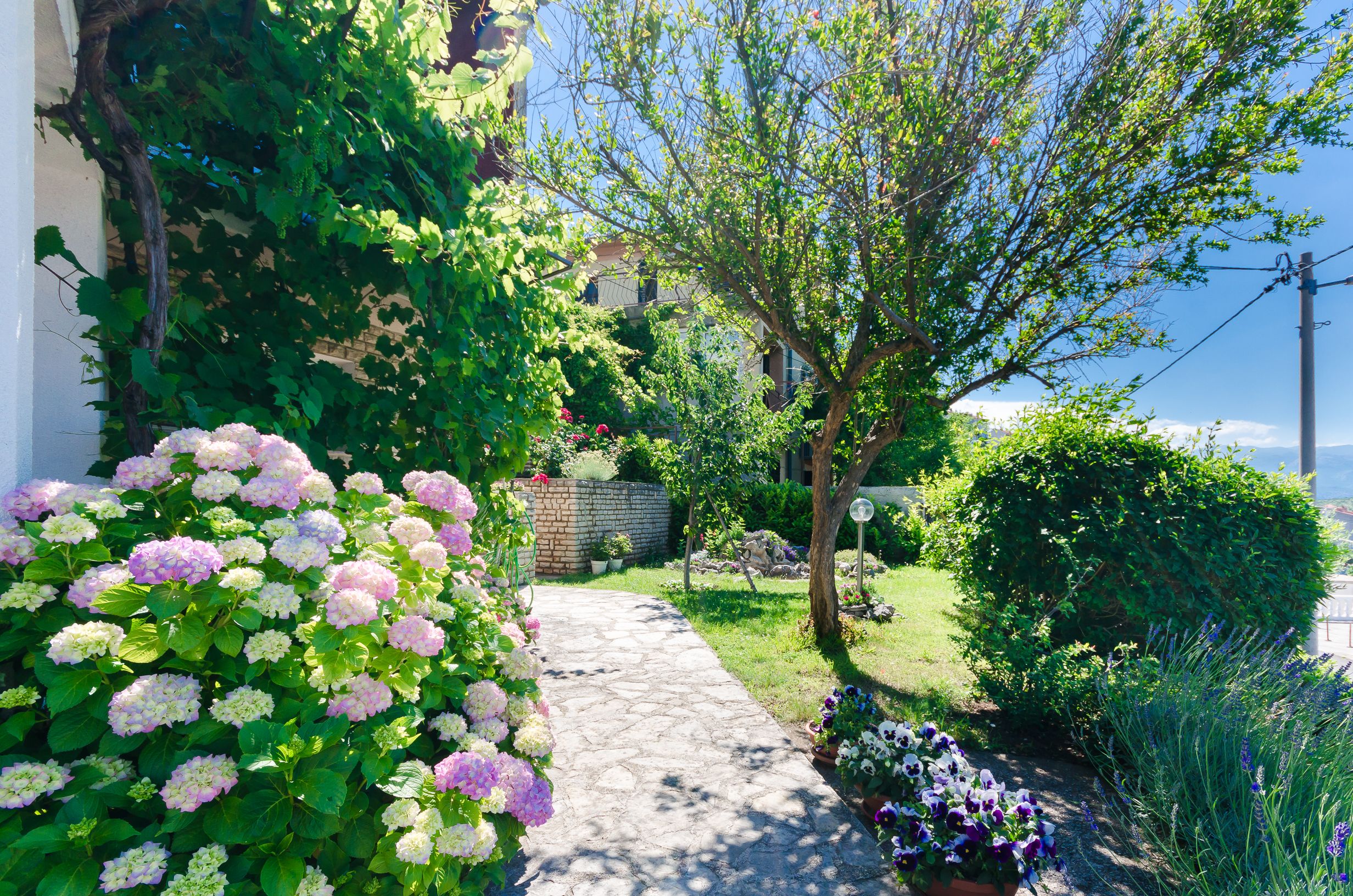 Apartment Draga 34141-A1