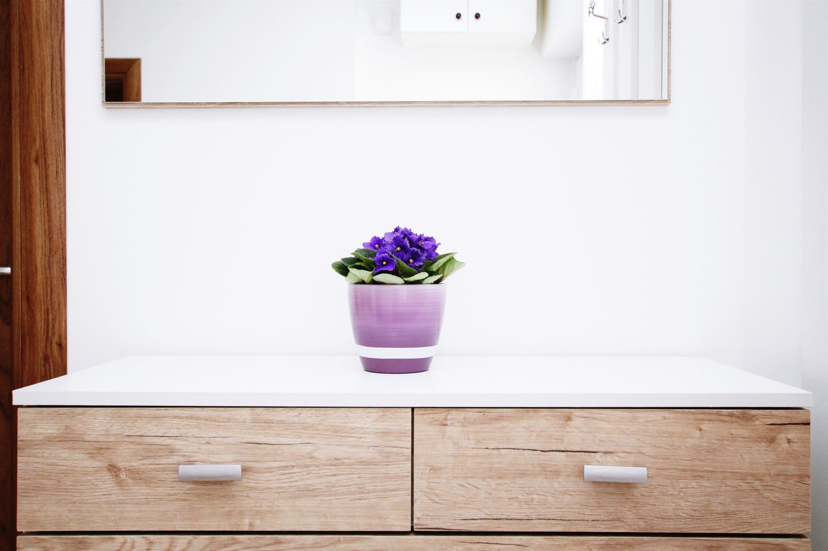 Apartment Anica 36381-A1