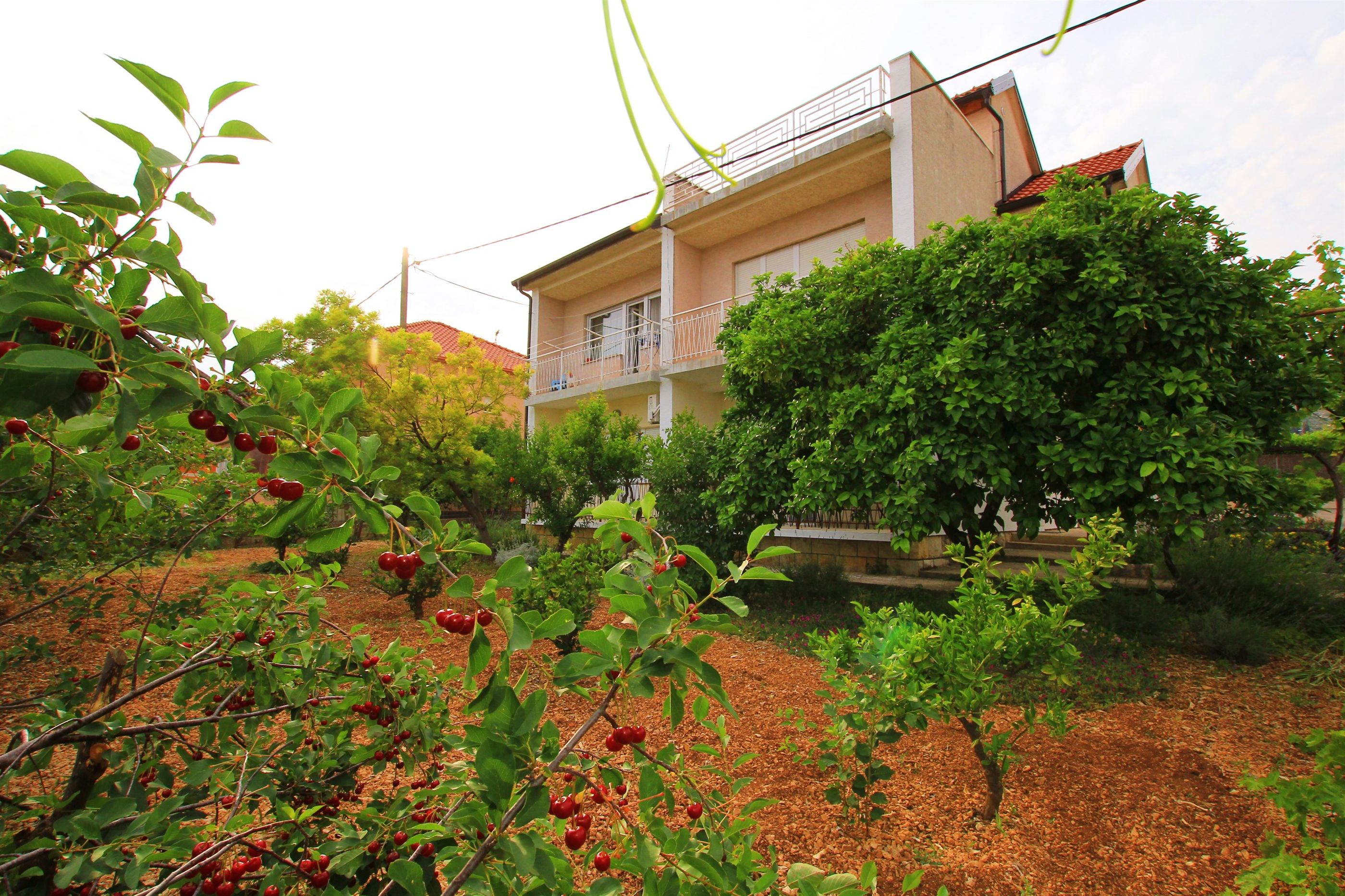 Apartment Anica 36381-A1