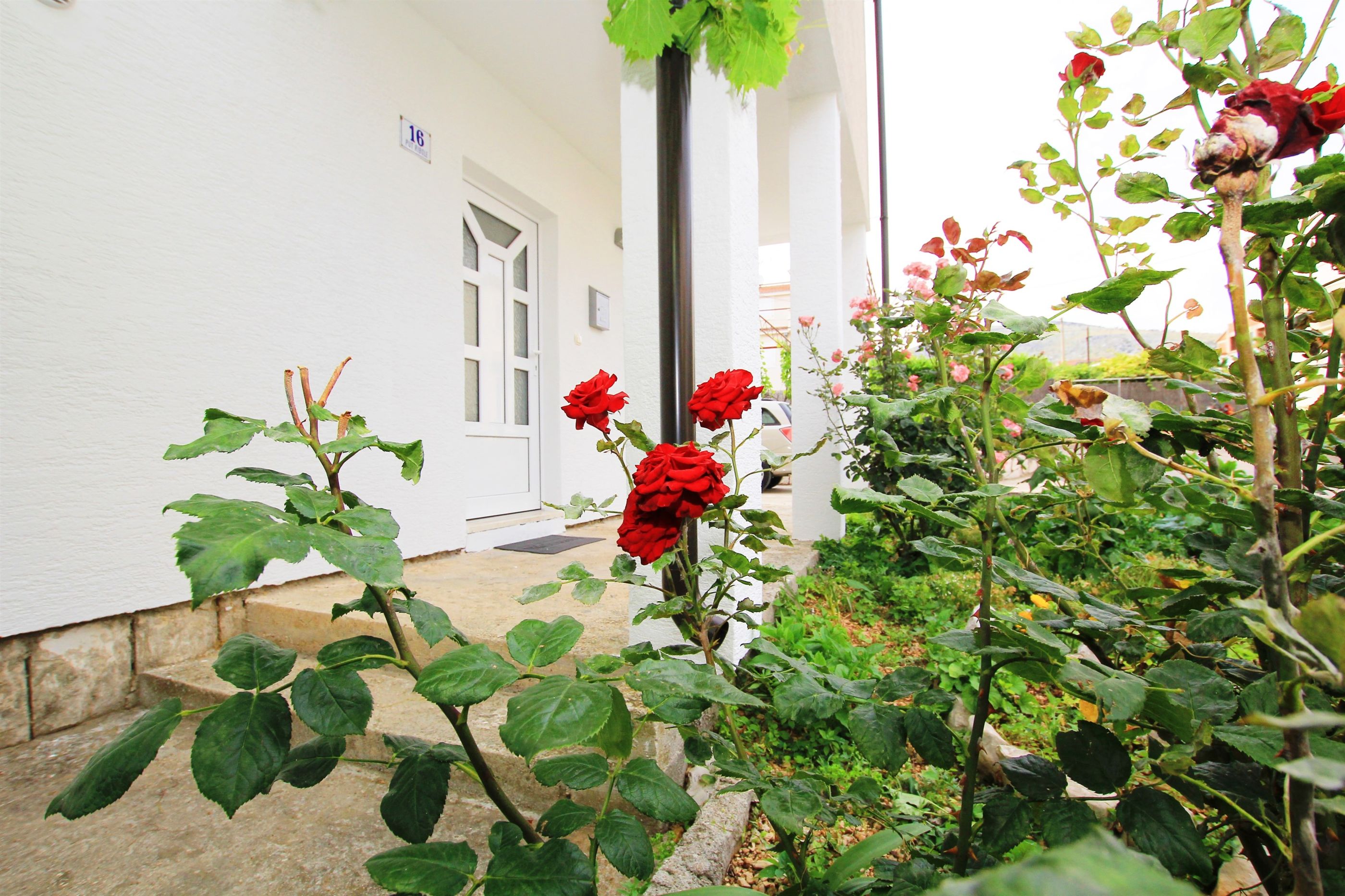 Apartment Anica 36381-A1