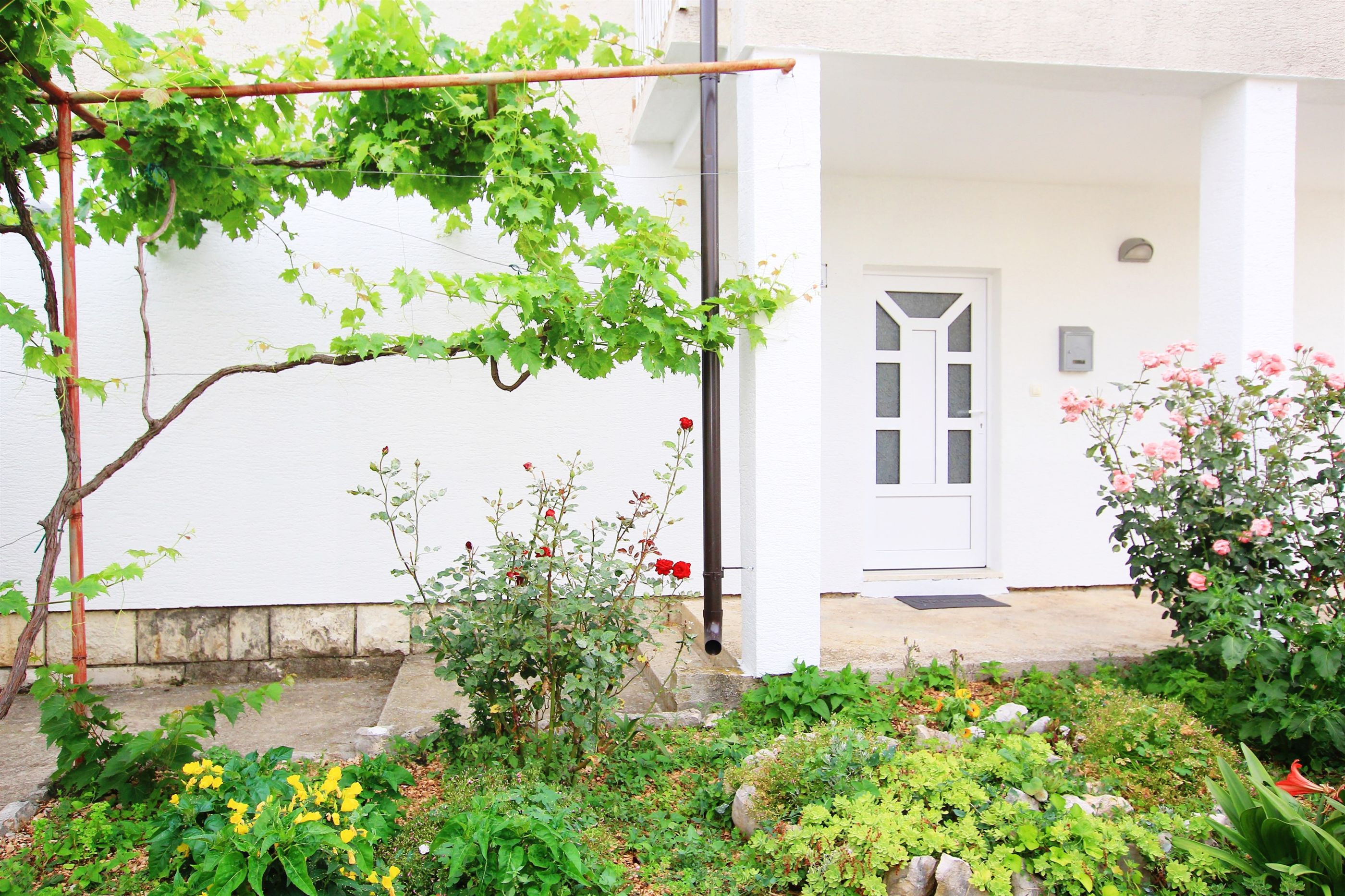 Apartment Anica 36381-A1