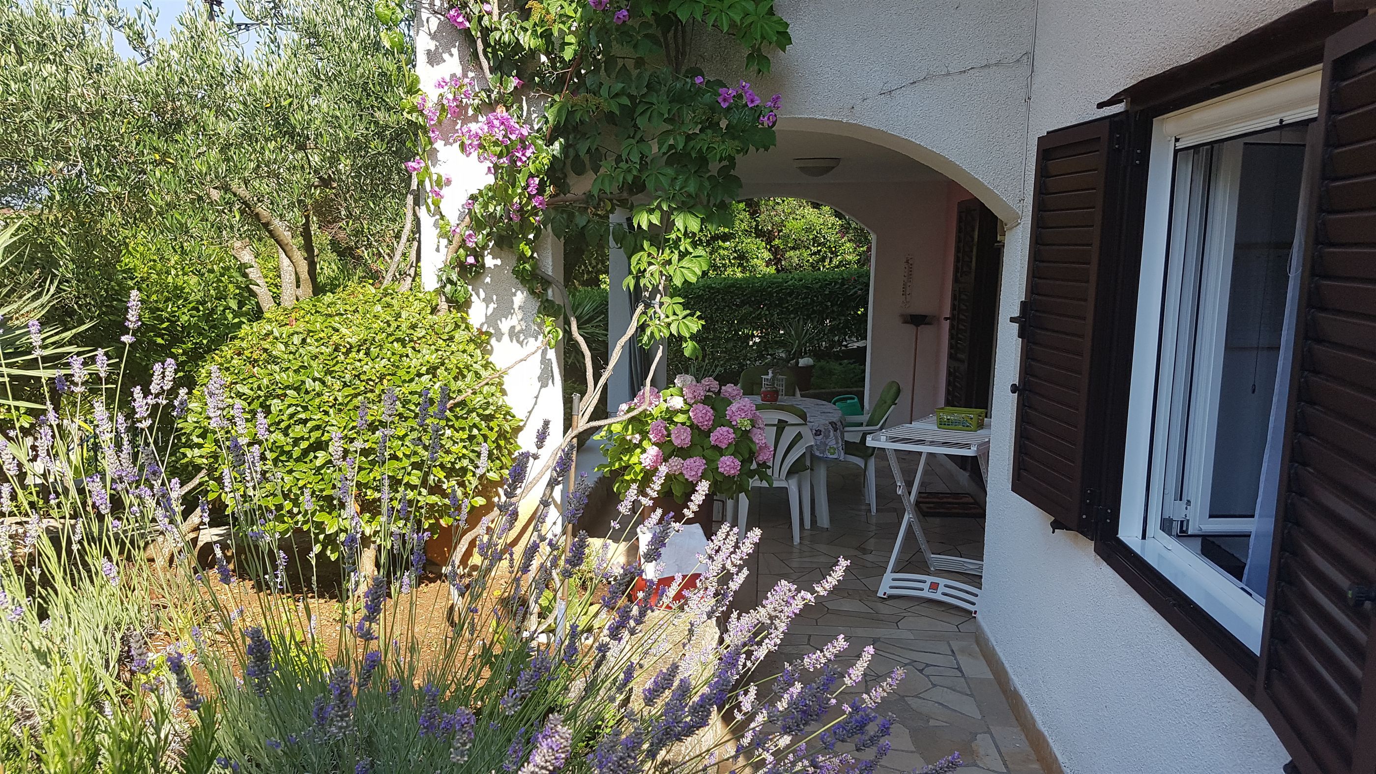 Apartment Lidija 36611-A1