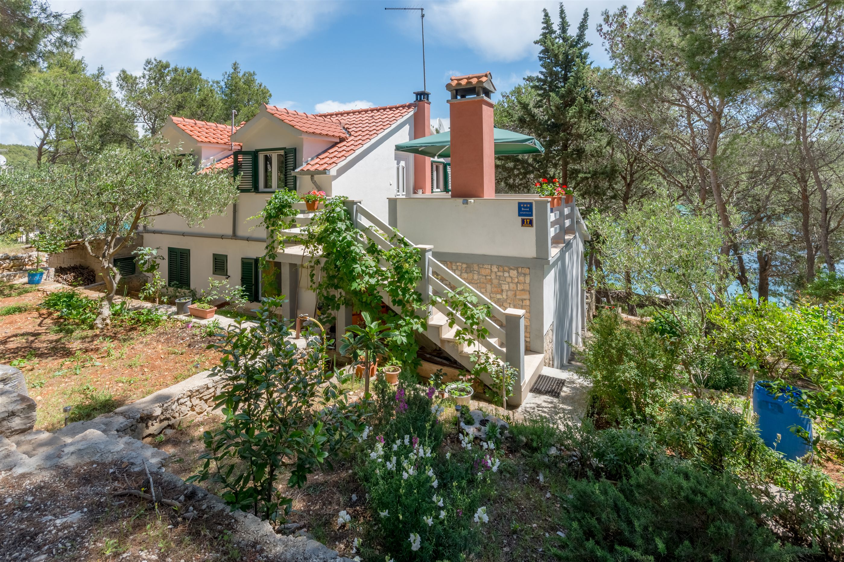 Apartment Ante 42931-A1