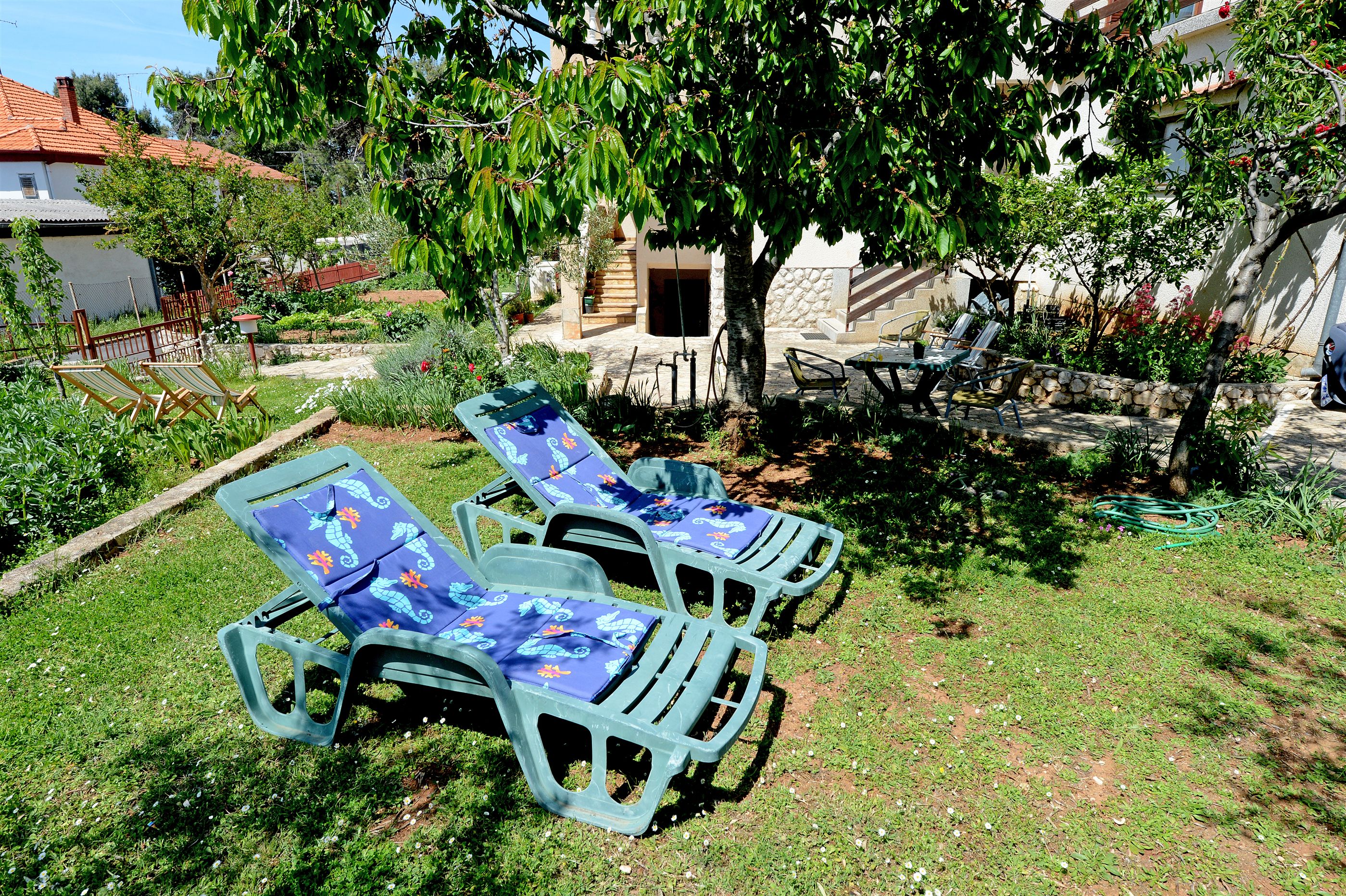 Apartments Anđelko 22491-A2