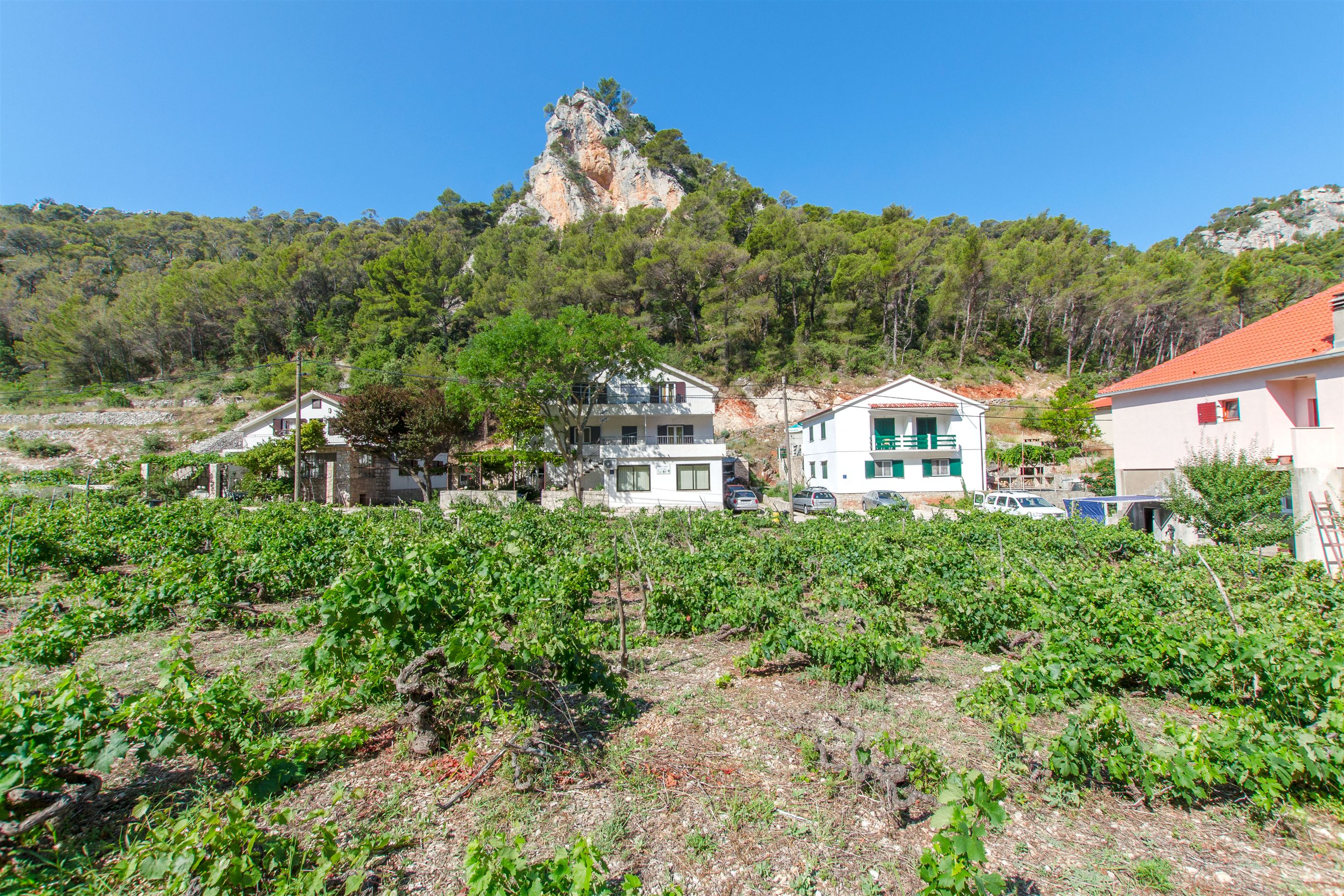 Apartments and Rooms Stjepan 31771-A3