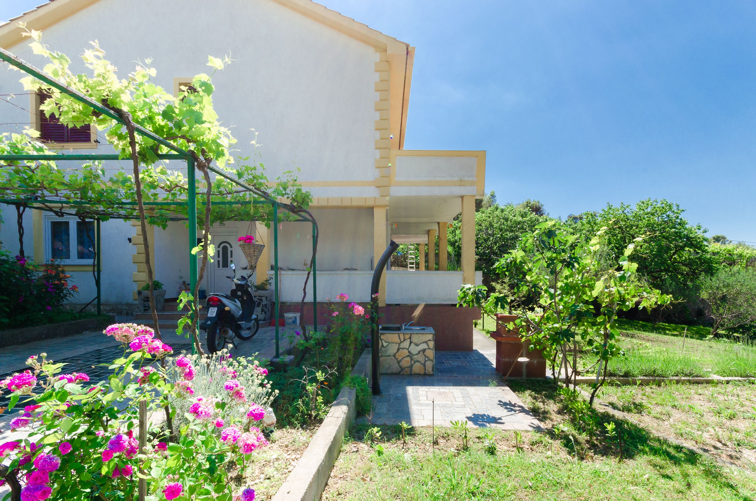 Apartments Zorka 67121-A4
